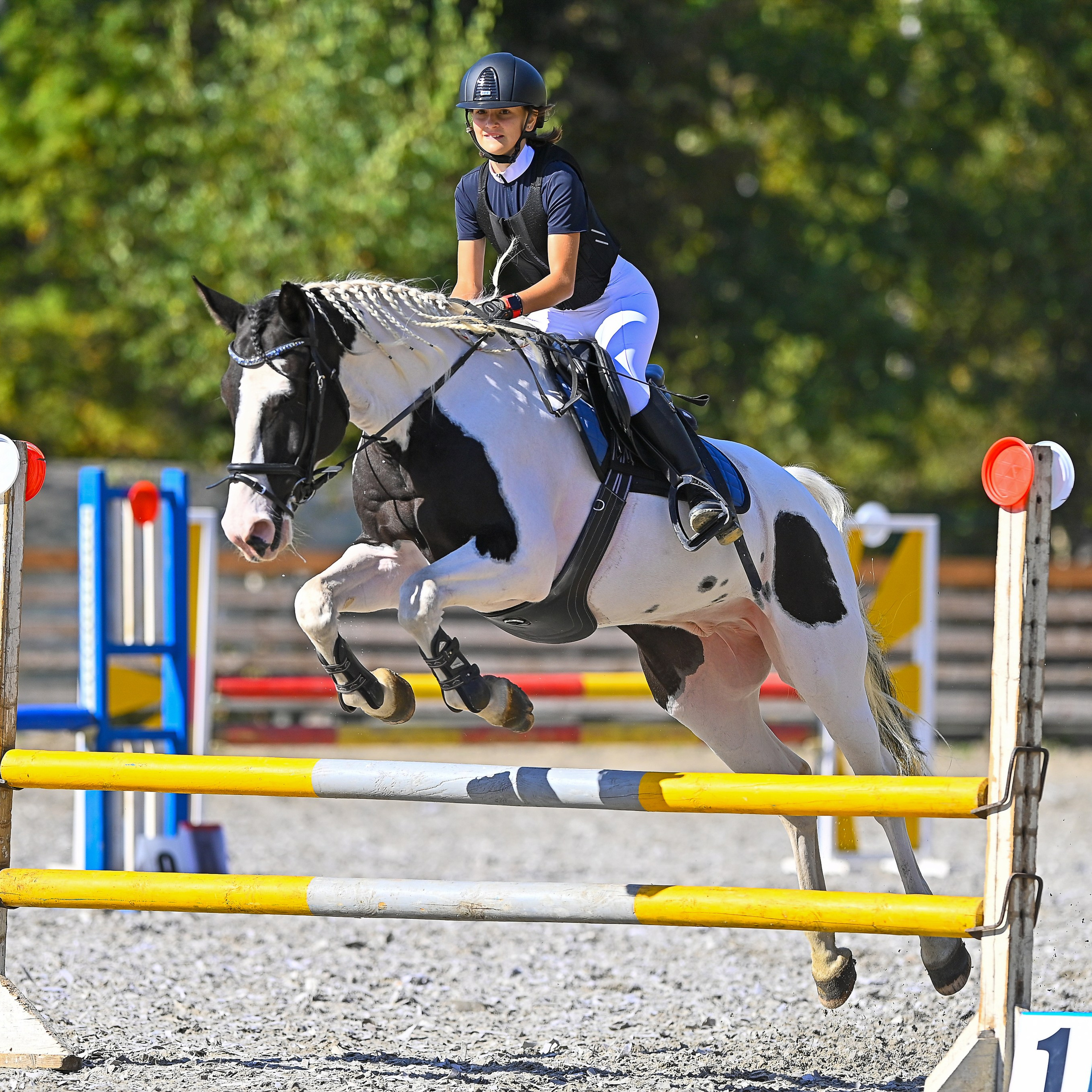 2024.09.15 — Соревнования по конкуру в КСК Престиж 15 сентября 2024 года, маршрут 2