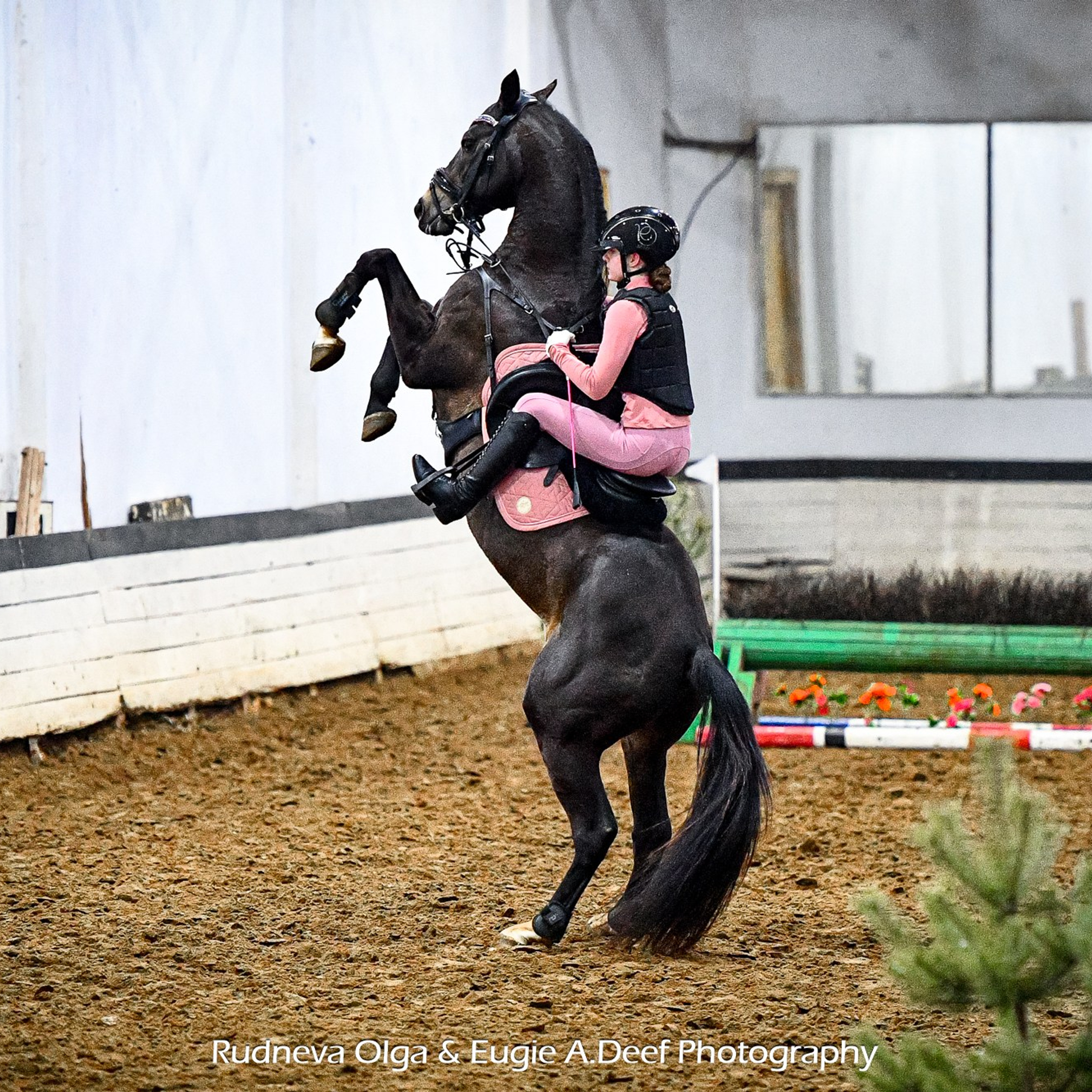 ТУРНИРНАЯ КОННАЯ ФОТОГРАФИЯ, Руднева Ольга и Евгений Адеев