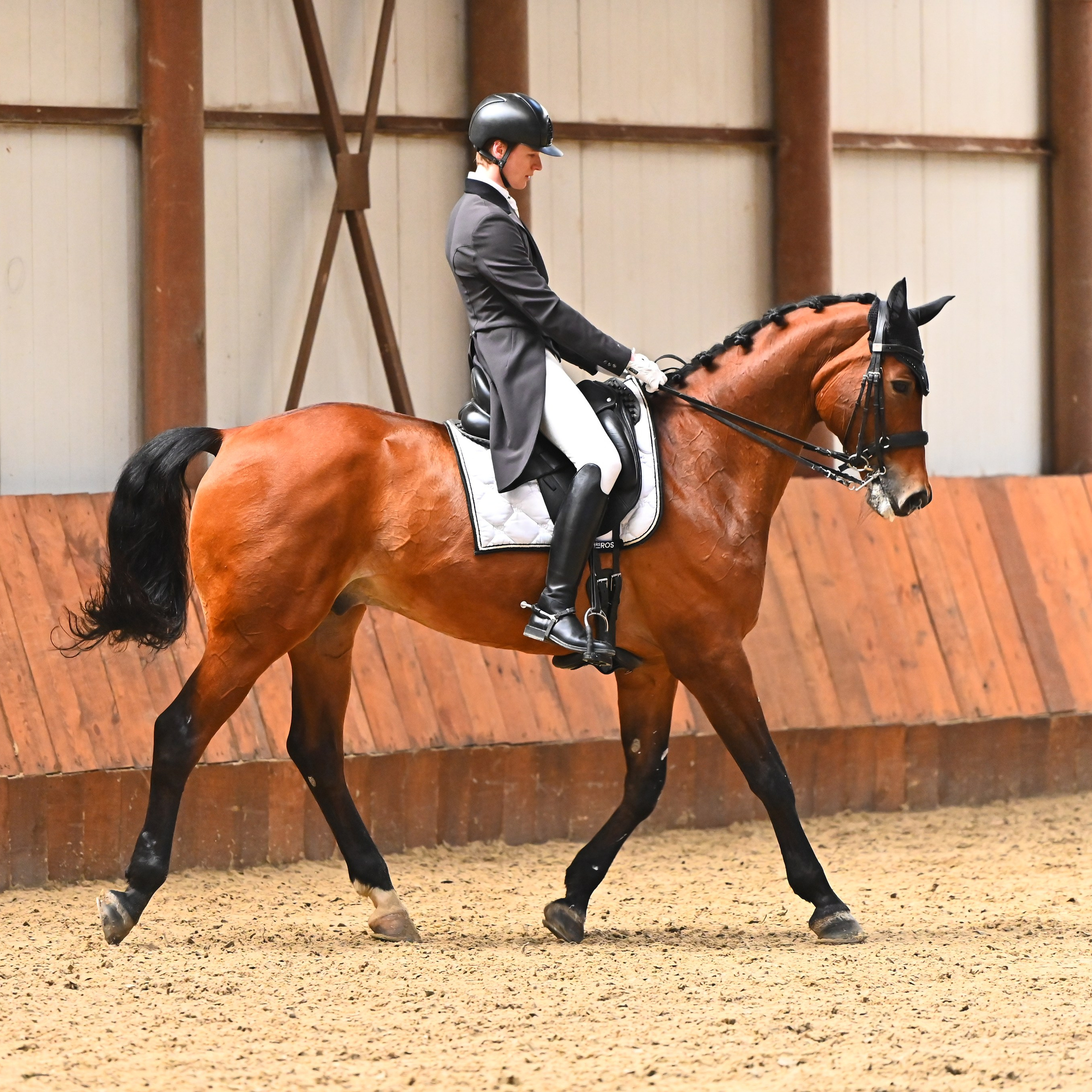 ТУРНИРНАЯ КОННАЯ ФОТОГРАФИЯ, Руднева Ольга и Евгений Адеев