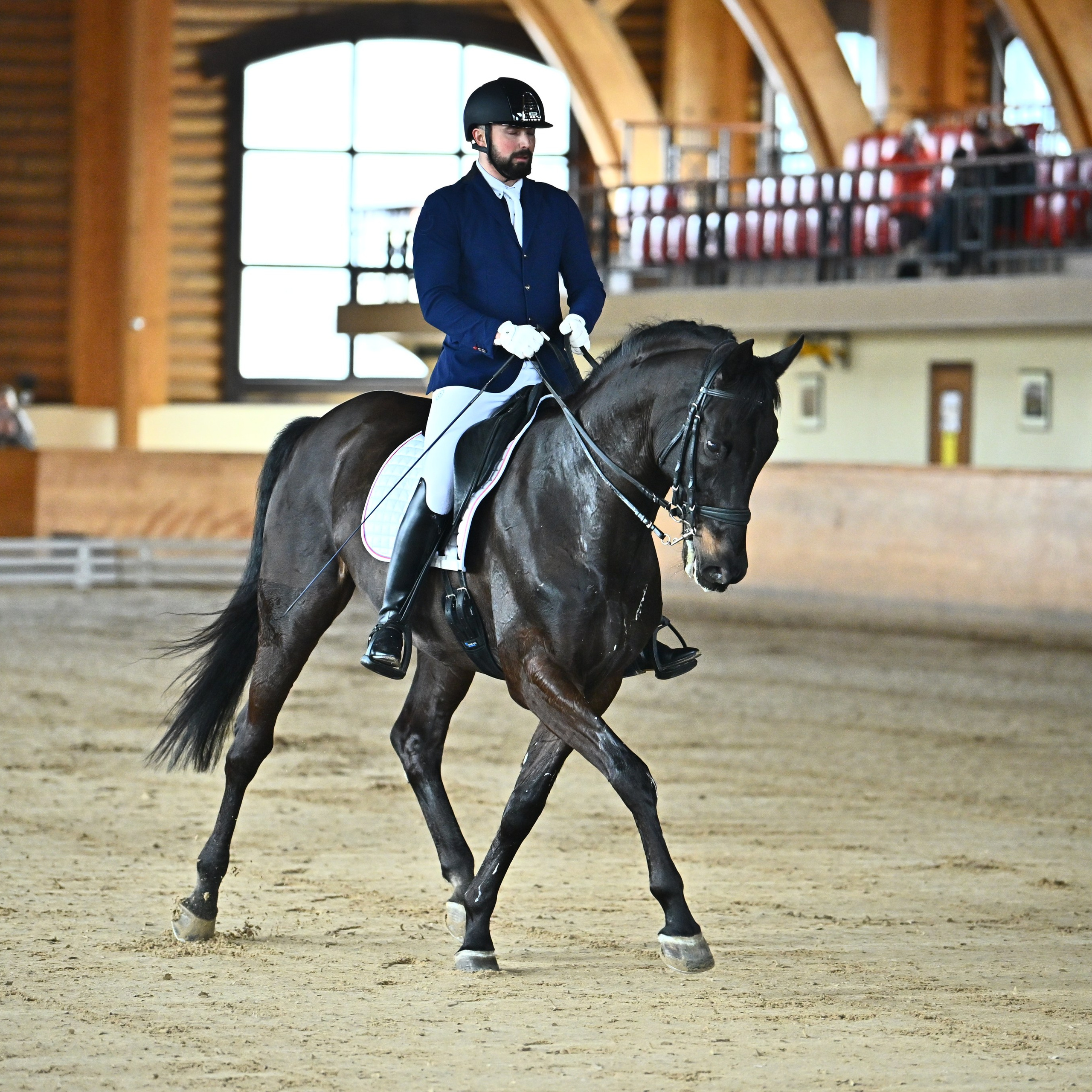 ТУРНИРНАЯ КОННАЯ ФОТОГРАФИЯ, Руднева Ольга и Евгений Адеев