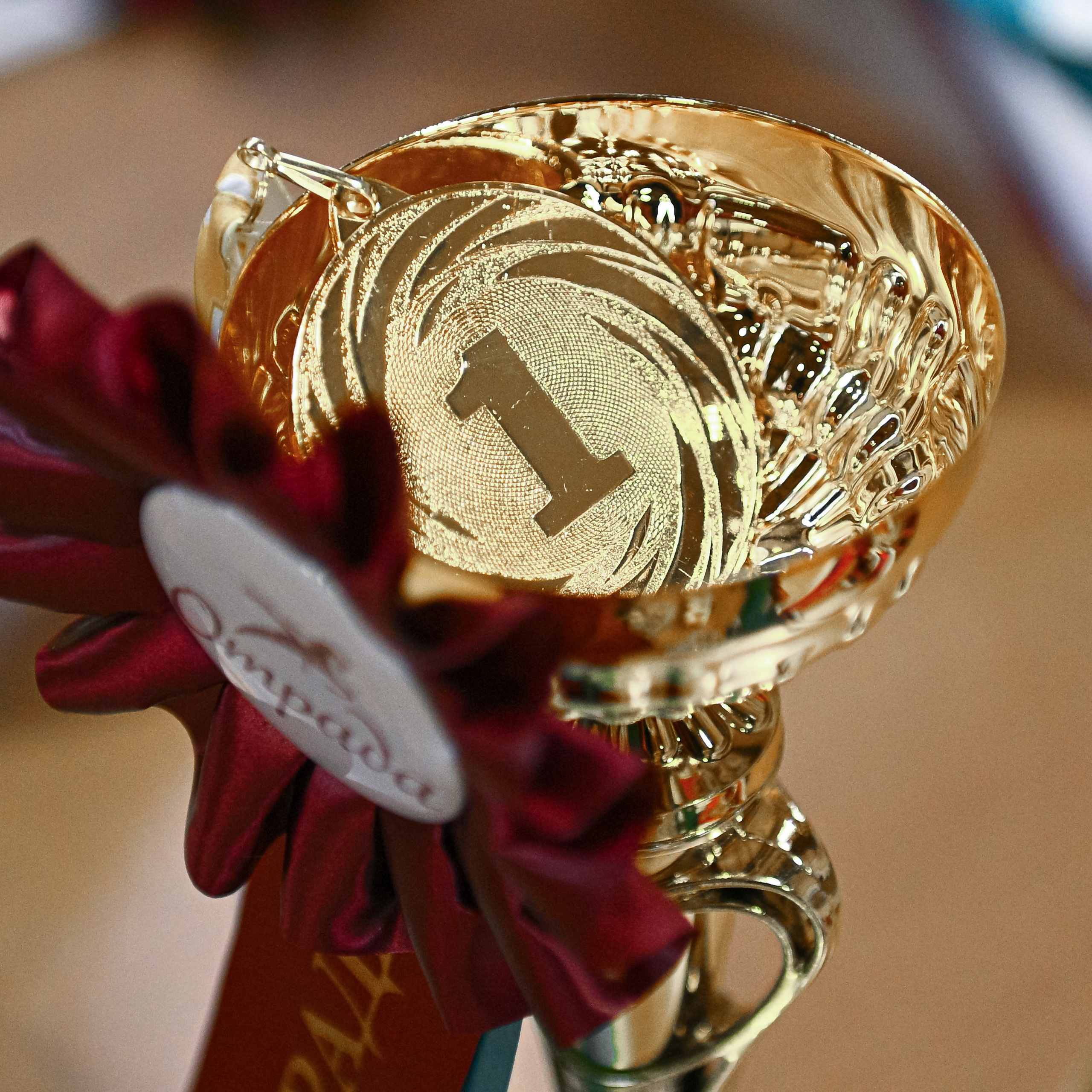 ТУРНИРНАЯ КОННАЯ ФОТОГРАФИЯ, Руднева Ольга и Евгений Адеев