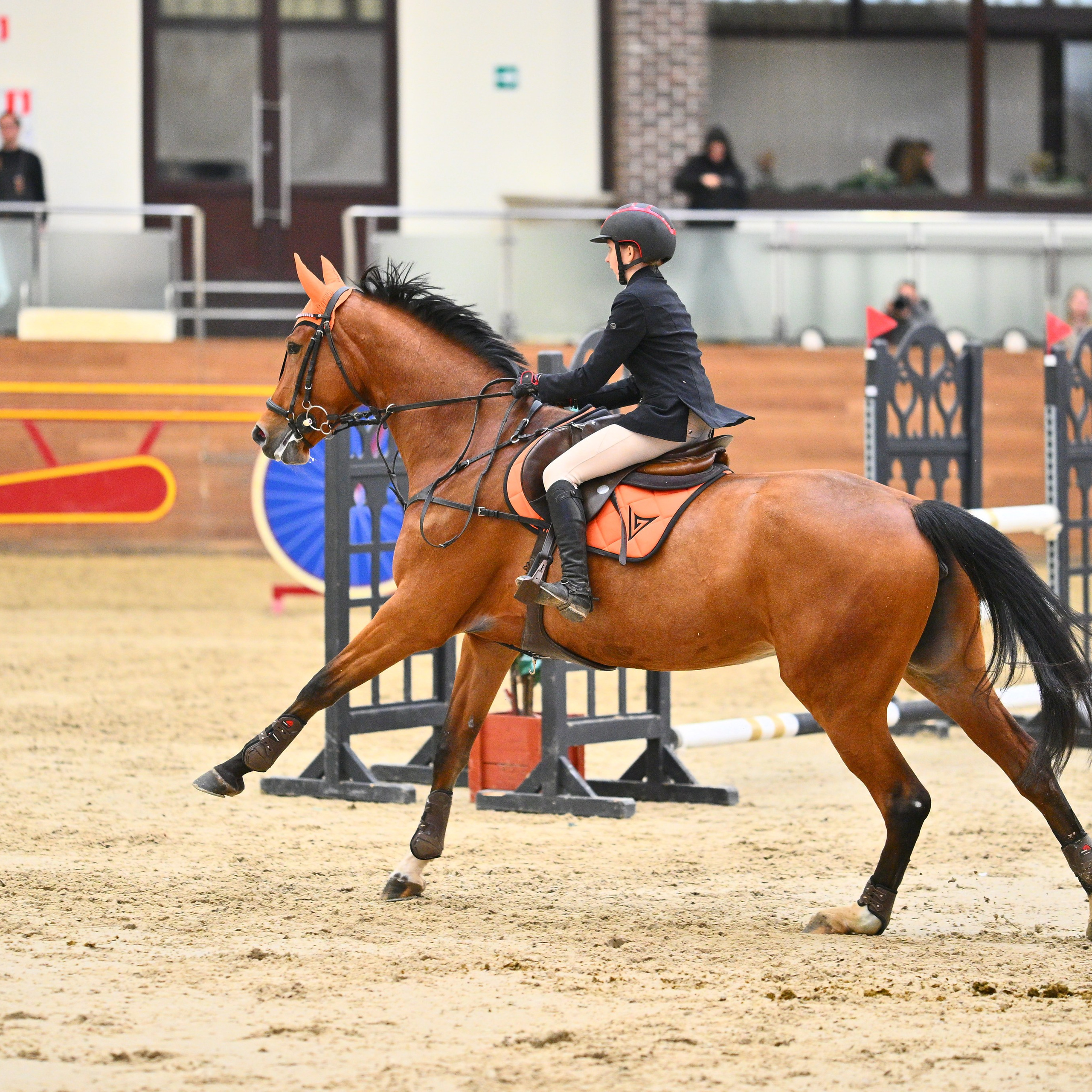 2025.12.13 — КСК Максима — конкур. ТУРНИРНАЯ КОННАЯ ФОТОГРАФИЯ, Руднева Ольга и Евгений Адеев