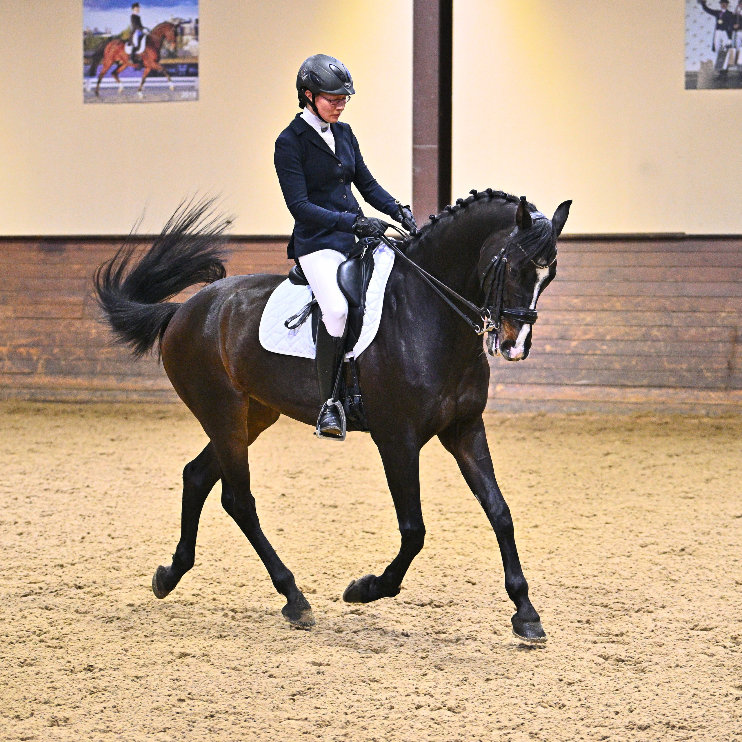 2024.12.01 — Открытые соревнования на призы КСК «Отрада» по выездке