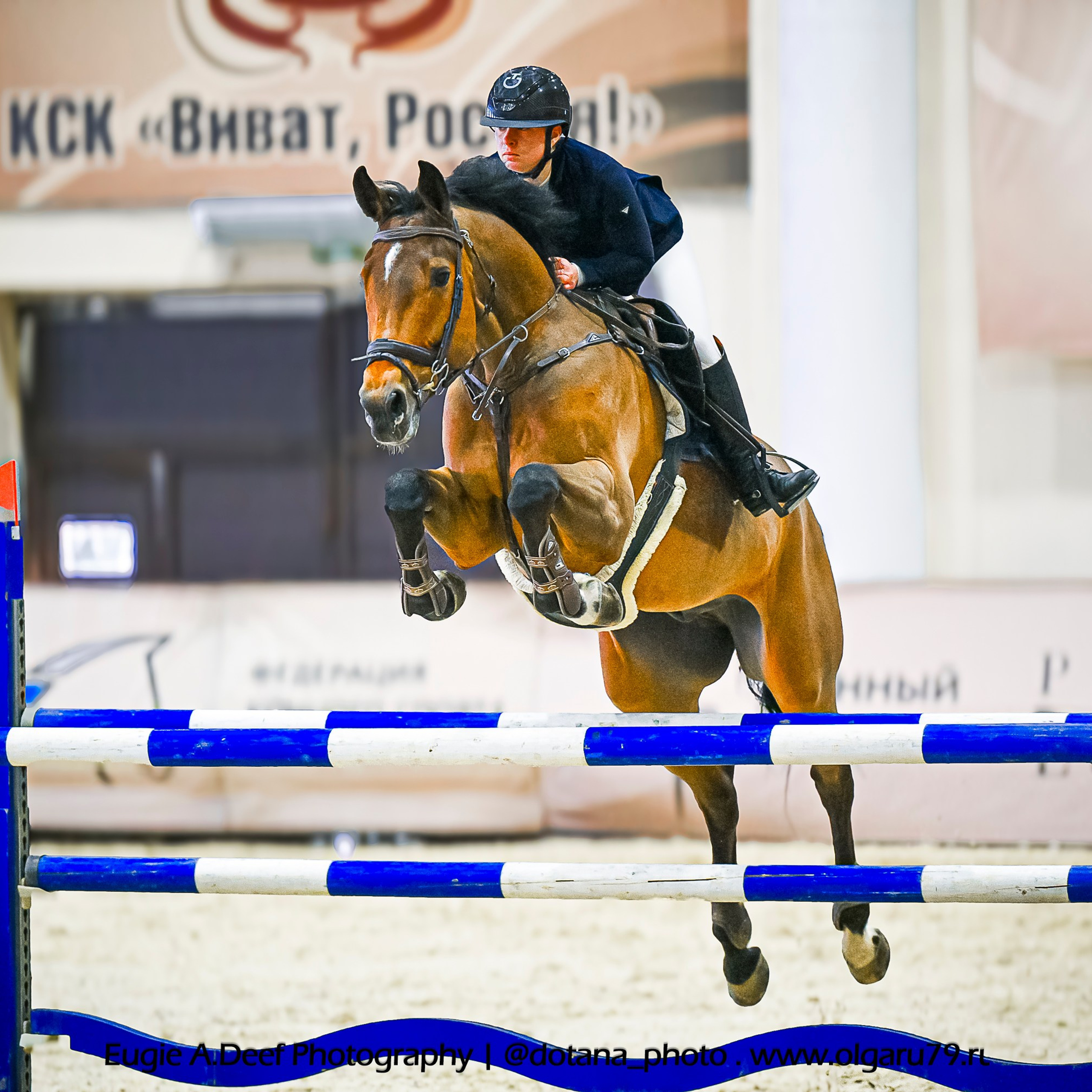 2026-02-06-08 КСК ВИВАТ, РОССИЯ! (ВЫЕЗДКА). ТУРНИРНАЯ КОННАЯ ФОТОГРАФИЯ, Руднева Ольга и Евгений Адеев