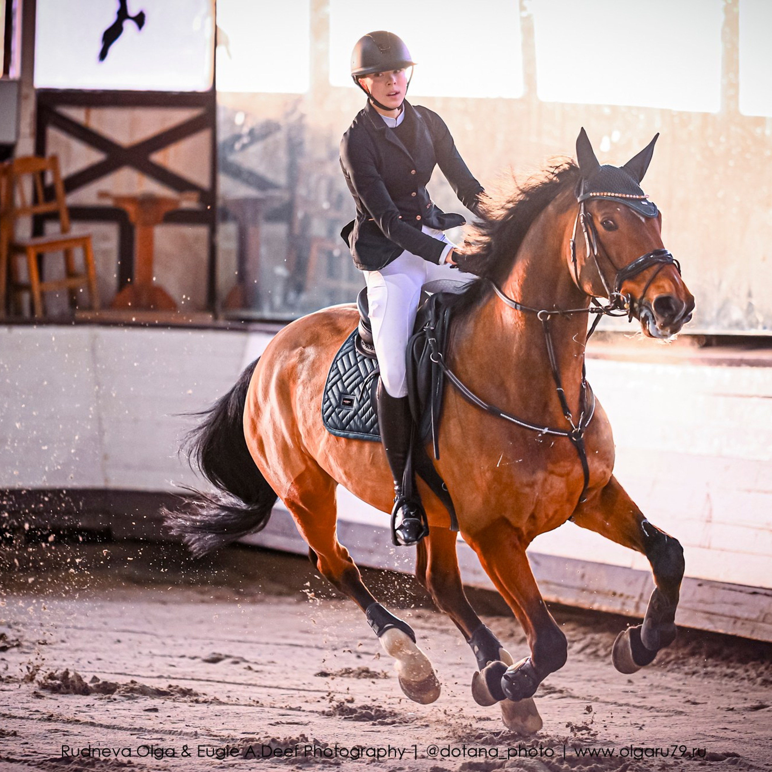 2025.12.06 — КСК Белая Дача — конкур. ТУРНИРНАЯ КОННАЯ ФОТОГРАФИЯ, Руднева Ольга и Евгений Адеев