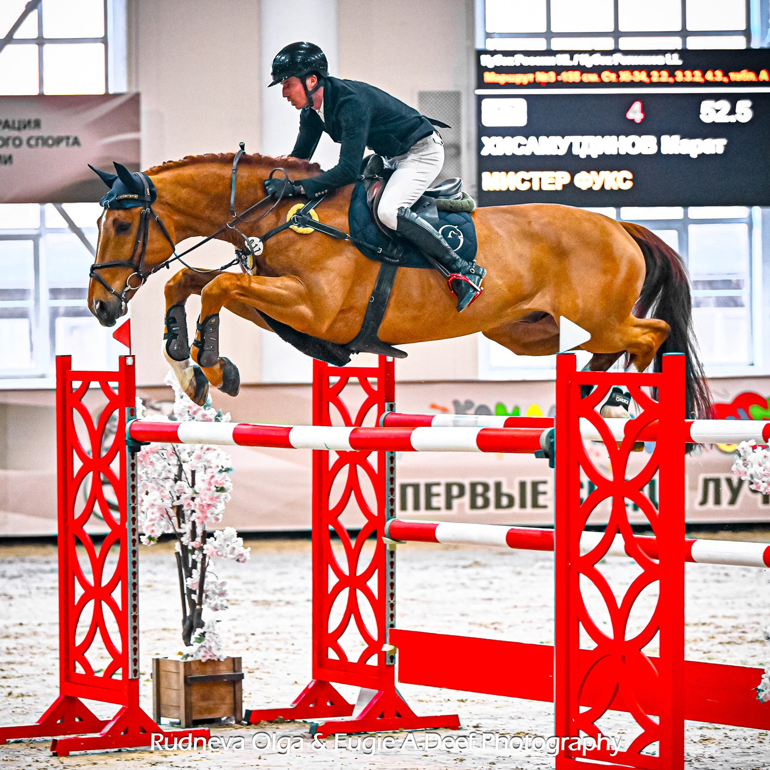 2025.03.16 — Кубок России, конкур, КСК Виват Россия