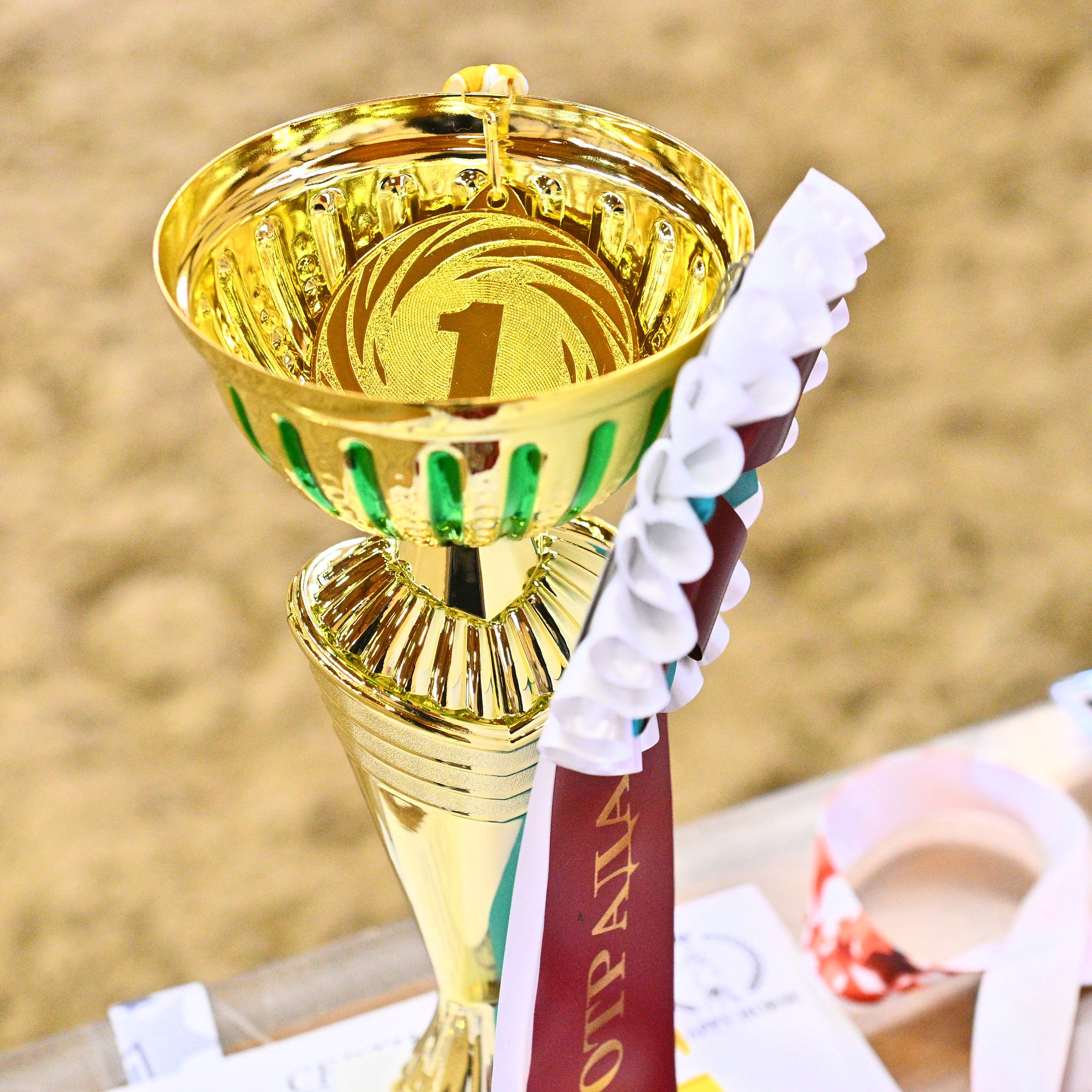 ФОТОБАНК — 28 И 29 марта КСК ВИВАТ, Россия, Всерос, Выездка. ТУРНИРНАЯ КОННАЯ ФОТОГРАФИЯ, Руднева Ольга и Евгений Адеев