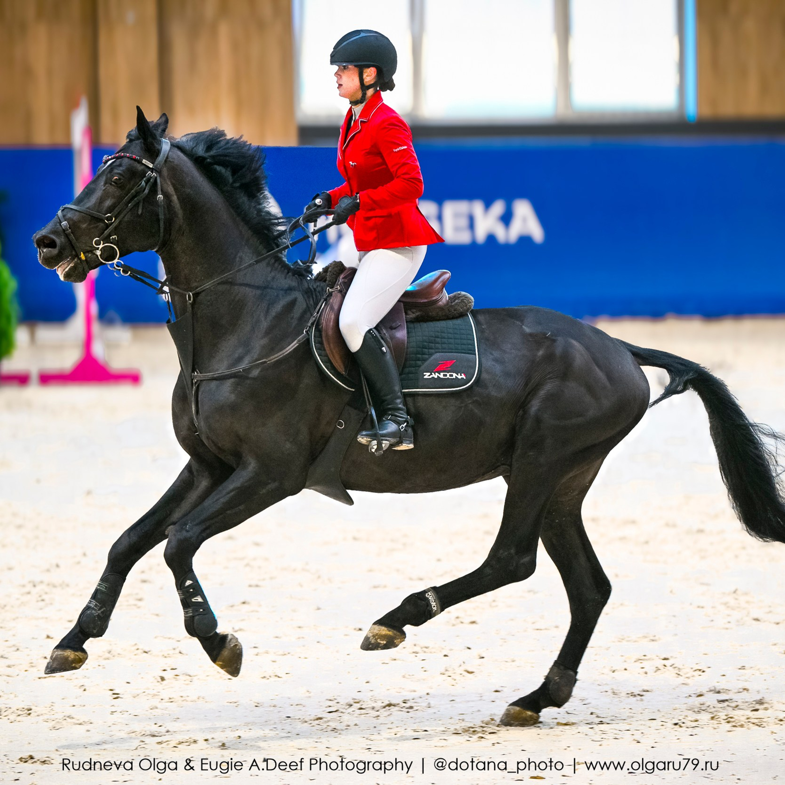 «Кубок Horseka Star» (22 и 23 ноября) Соревнования по конкуру. ТУРНИРНАЯ КОННАЯ ФОТОГРАФИЯ, Руднева Ольга и Евгений Адеев