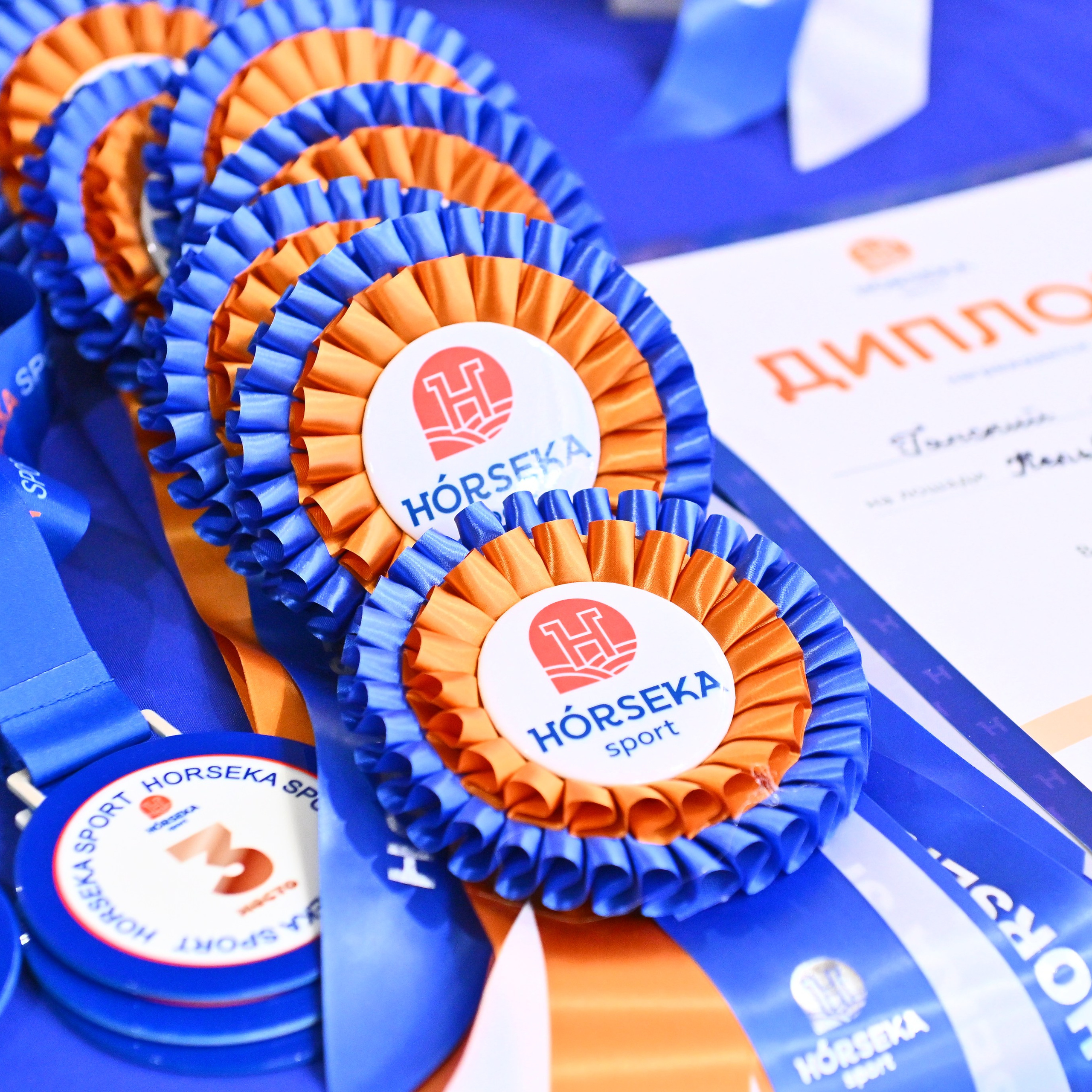 КСК_Конкорд Выездка 20-10-2024. ТУРНИРНАЯ КОННАЯ ФОТОГРАФИЯ, Руднева Ольга и Евгений Адеев