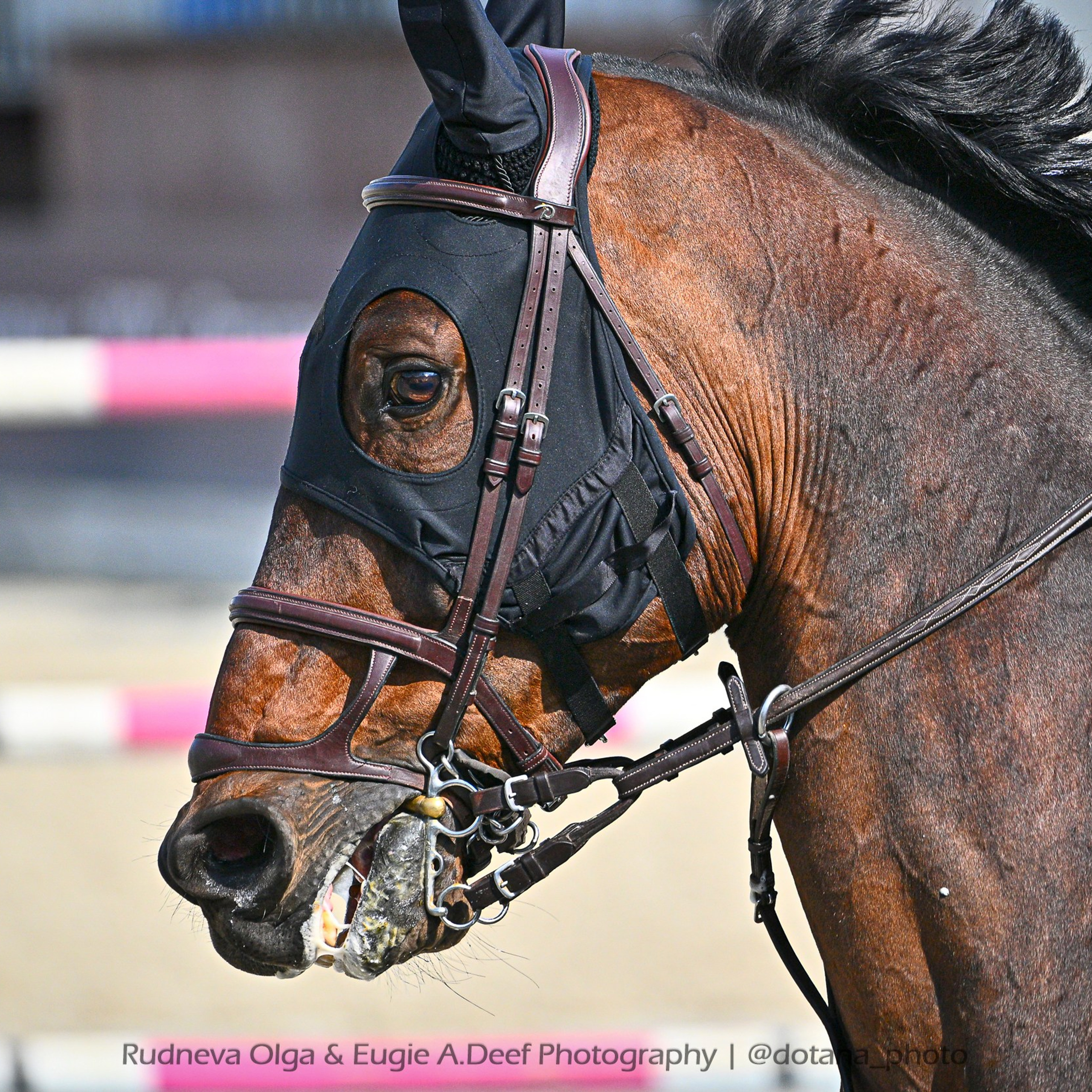 Всероссийские сор. «Летний Кубок КСК „Отрада"по конкуру» (05-15 ИЮНЯ) (1)
