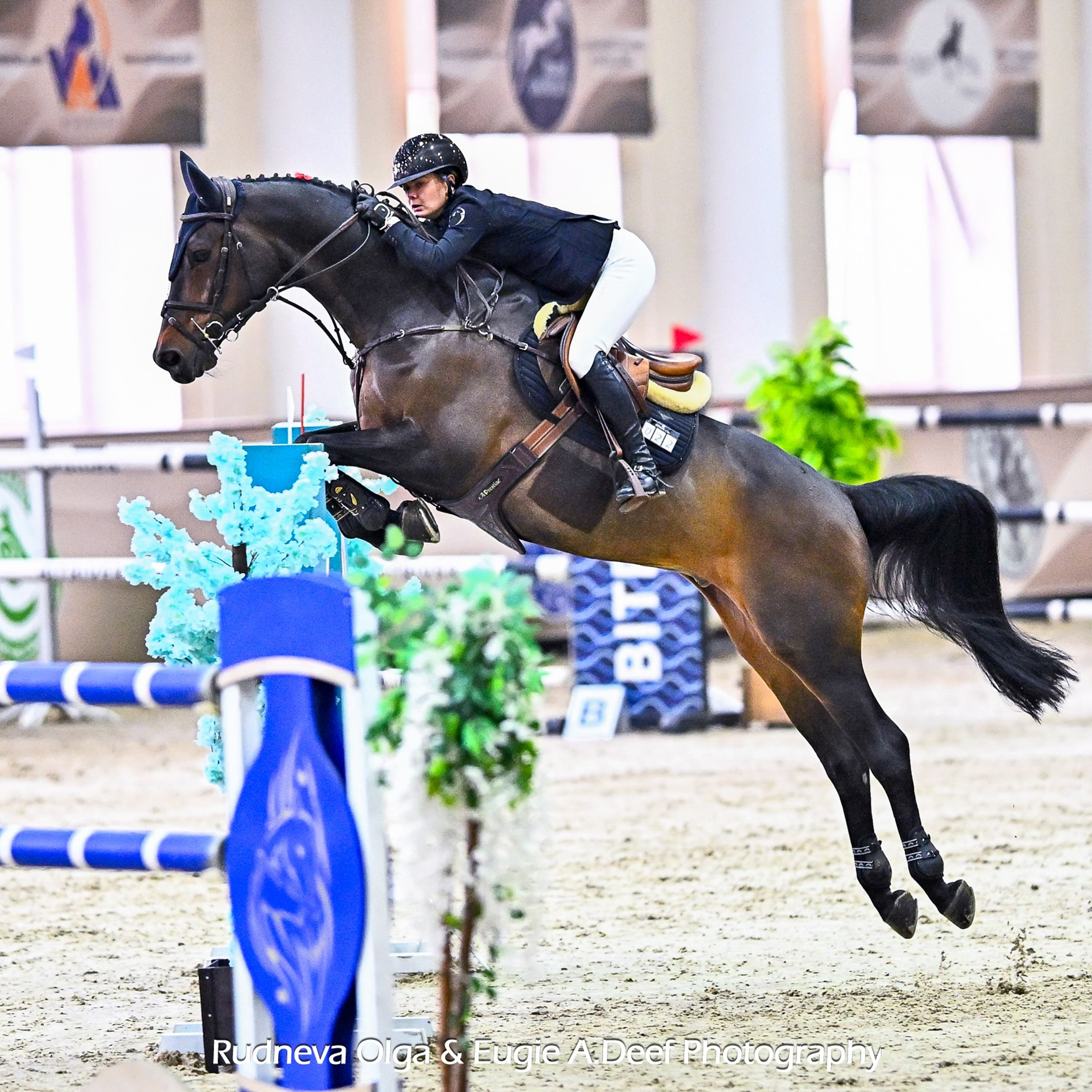 2025-03-15 КСК ВИВАТ-Россия — Всероссийские сор-я Кубок Регионов, LL