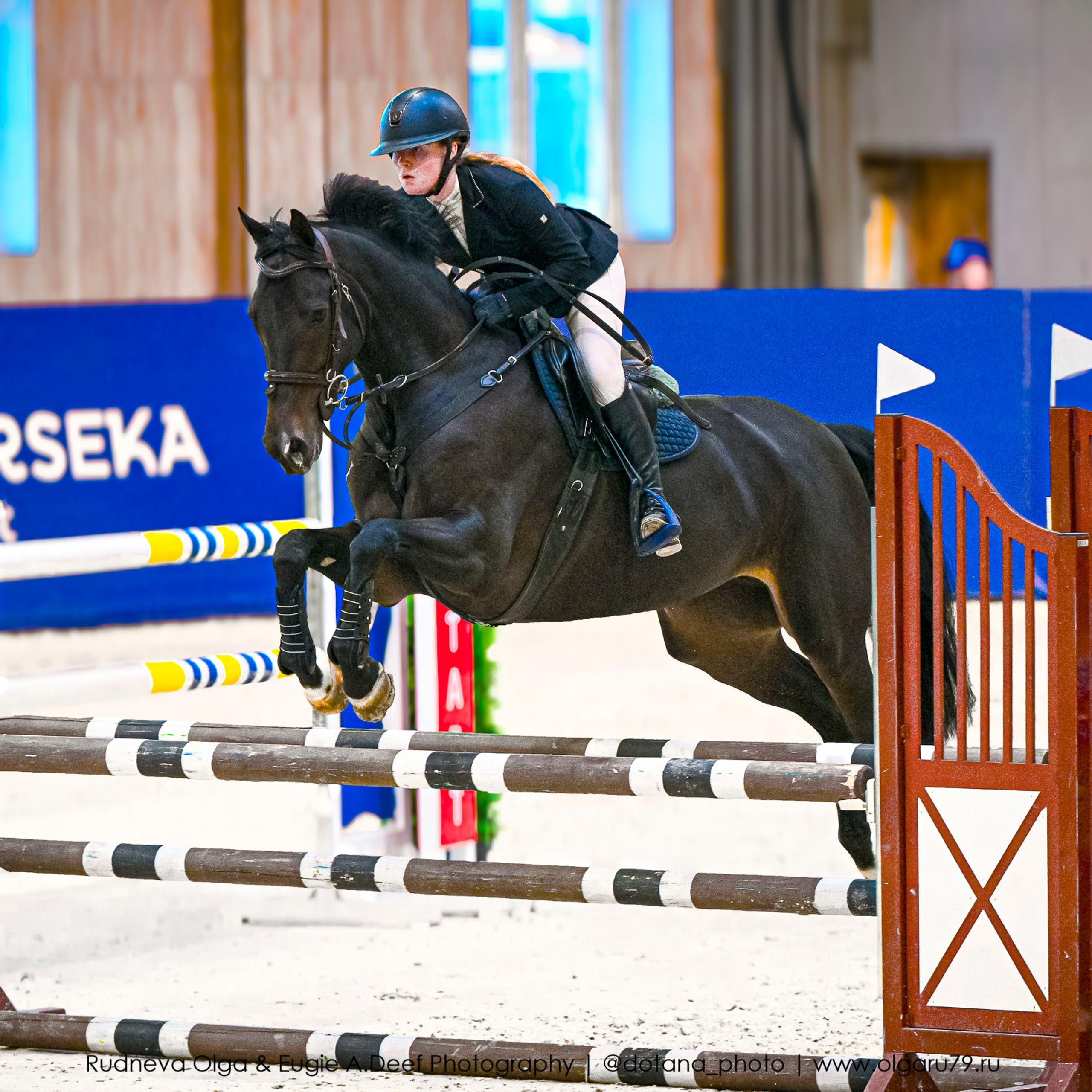 «Кубок Horseka Star» (22 и 23 ноября) Соревнования по конкуру. ТУРНИРНАЯ КОННАЯ ФОТОГРАФИЯ, Руднева Ольга и Евгений Адеев