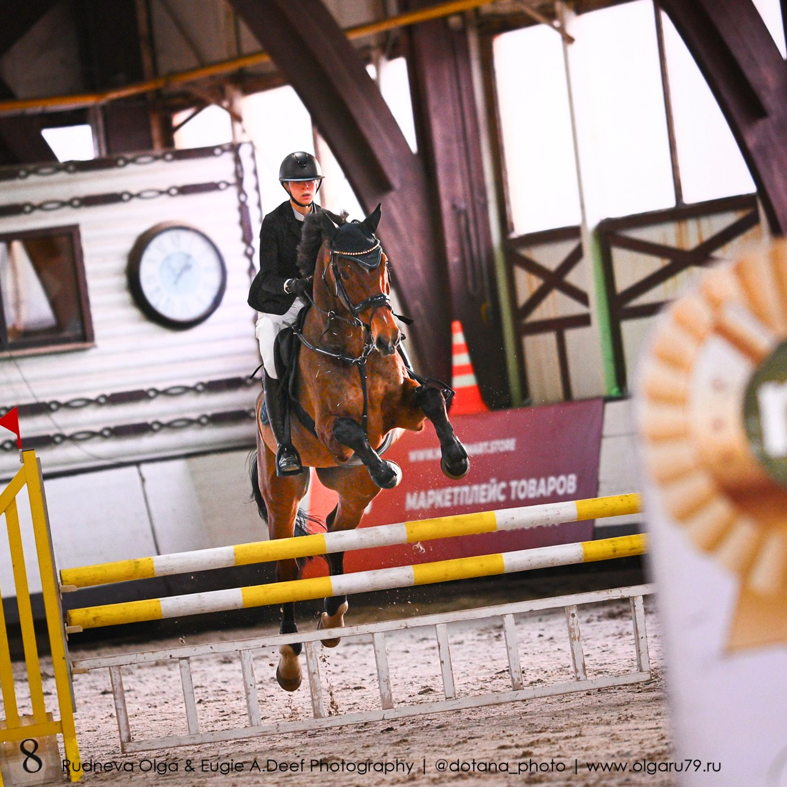 2025.12.06 — КСК Белая Дача — конкур. ТУРНИРНАЯ КОННАЯ ФОТОГРАФИЯ, Руднева Ольга и Евгений Адеев