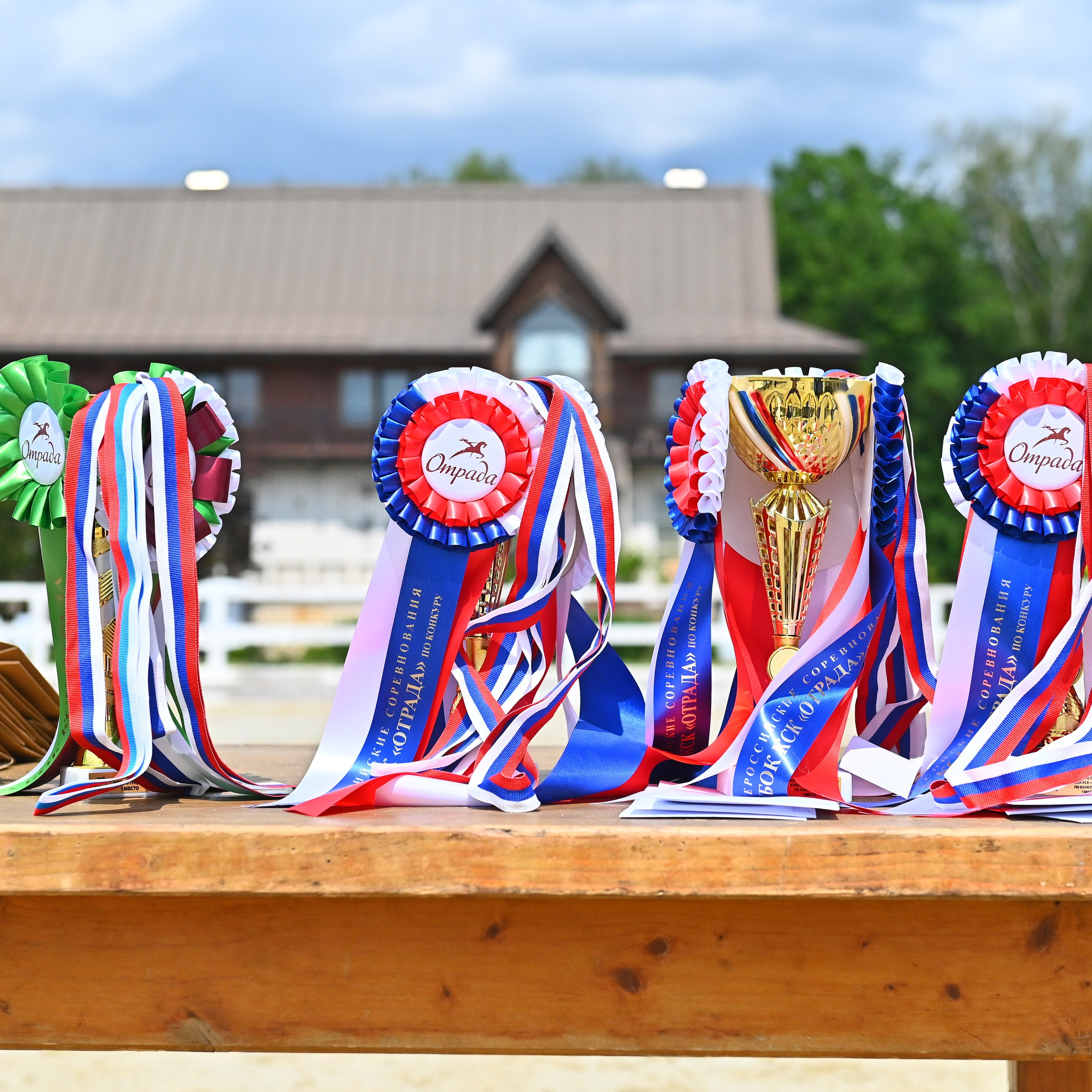 ТУРНИРНАЯ КОННАЯ ФОТОГРАФИЯ, Руднева Ольга и Евгений Адеев