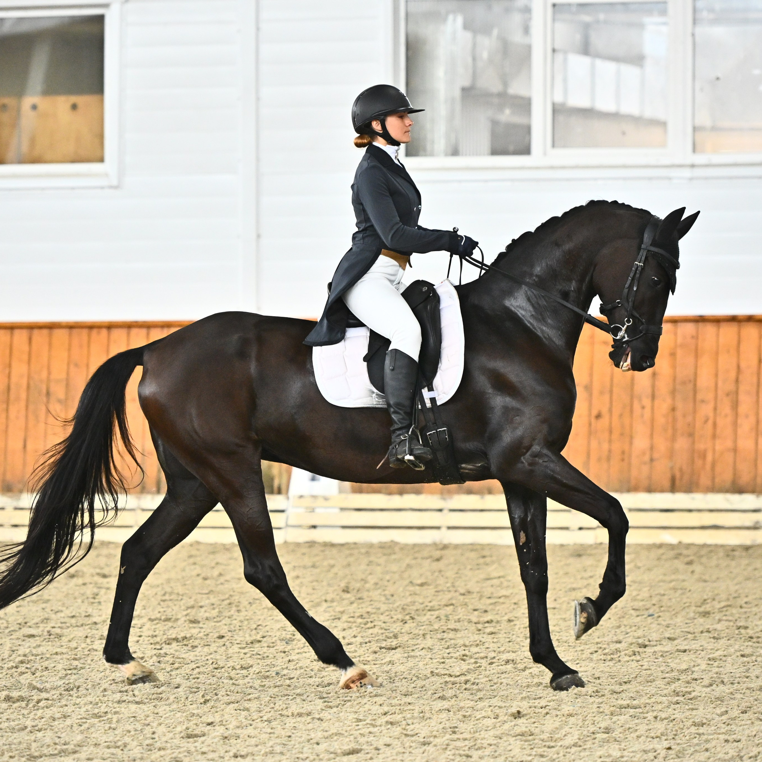 ТУРНИРНАЯ КОННАЯ ФОТОГРАФИЯ, Руднева Ольга и Евгений Адеев