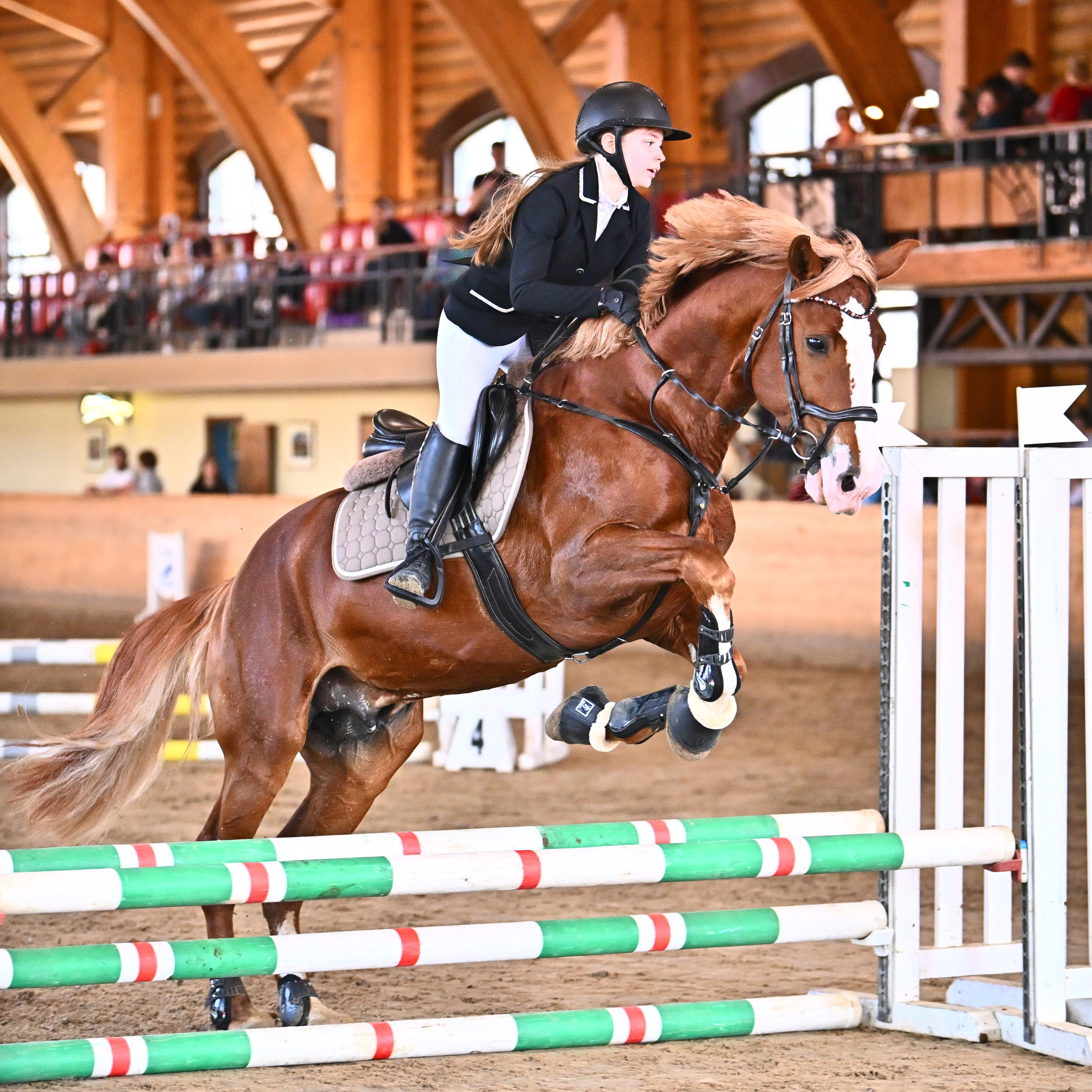 ТУРНИРНАЯ КОННАЯ ФОТОГРАФИЯ, Руднева Ольга и Евгений Адеев