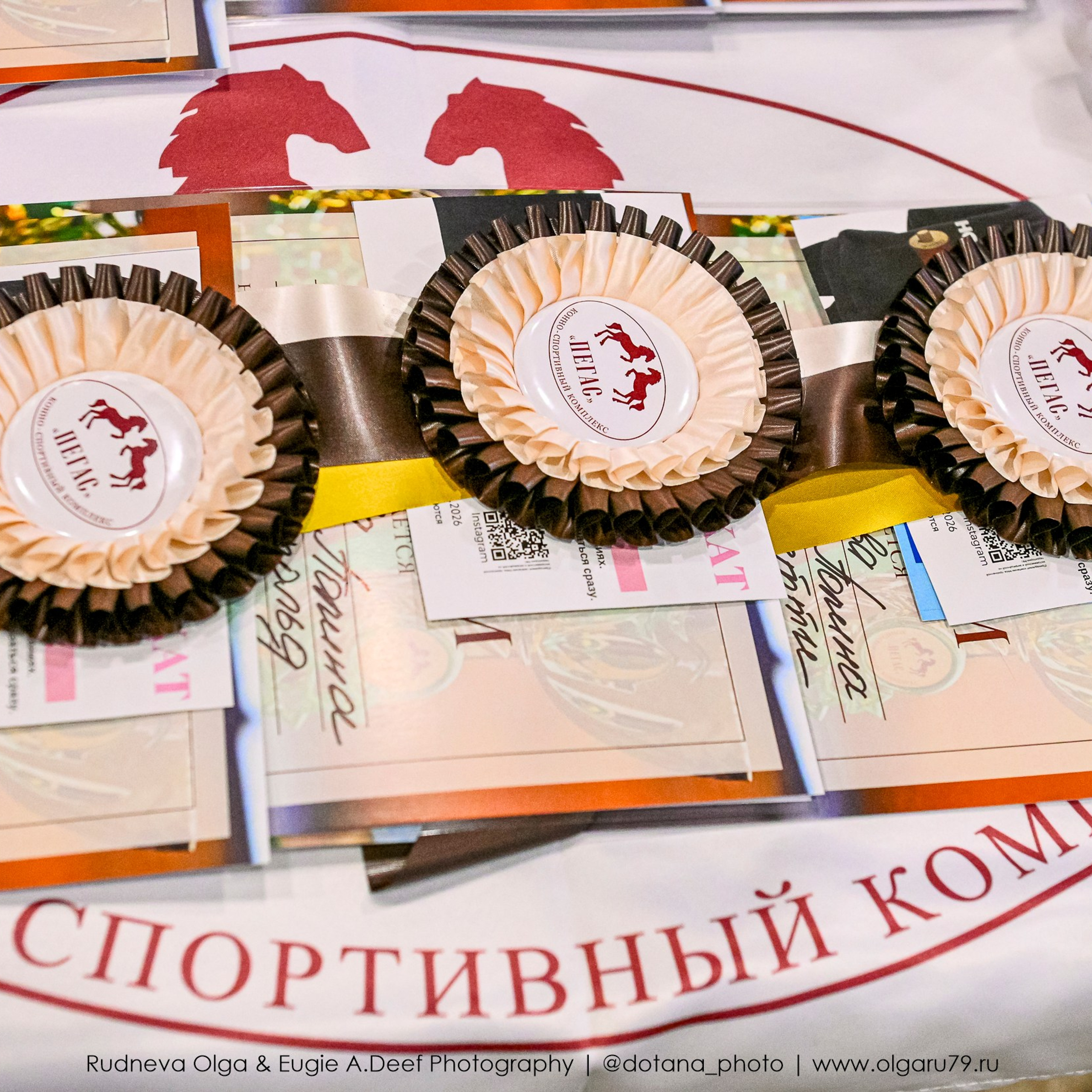 2026 март 14 КСК УРОЖАЙ (ВЫЕЗДКА). ТУРНИРНАЯ КОННАЯ ФОТОГРАФИЯ, Руднева Ольга и Евгений Адеев