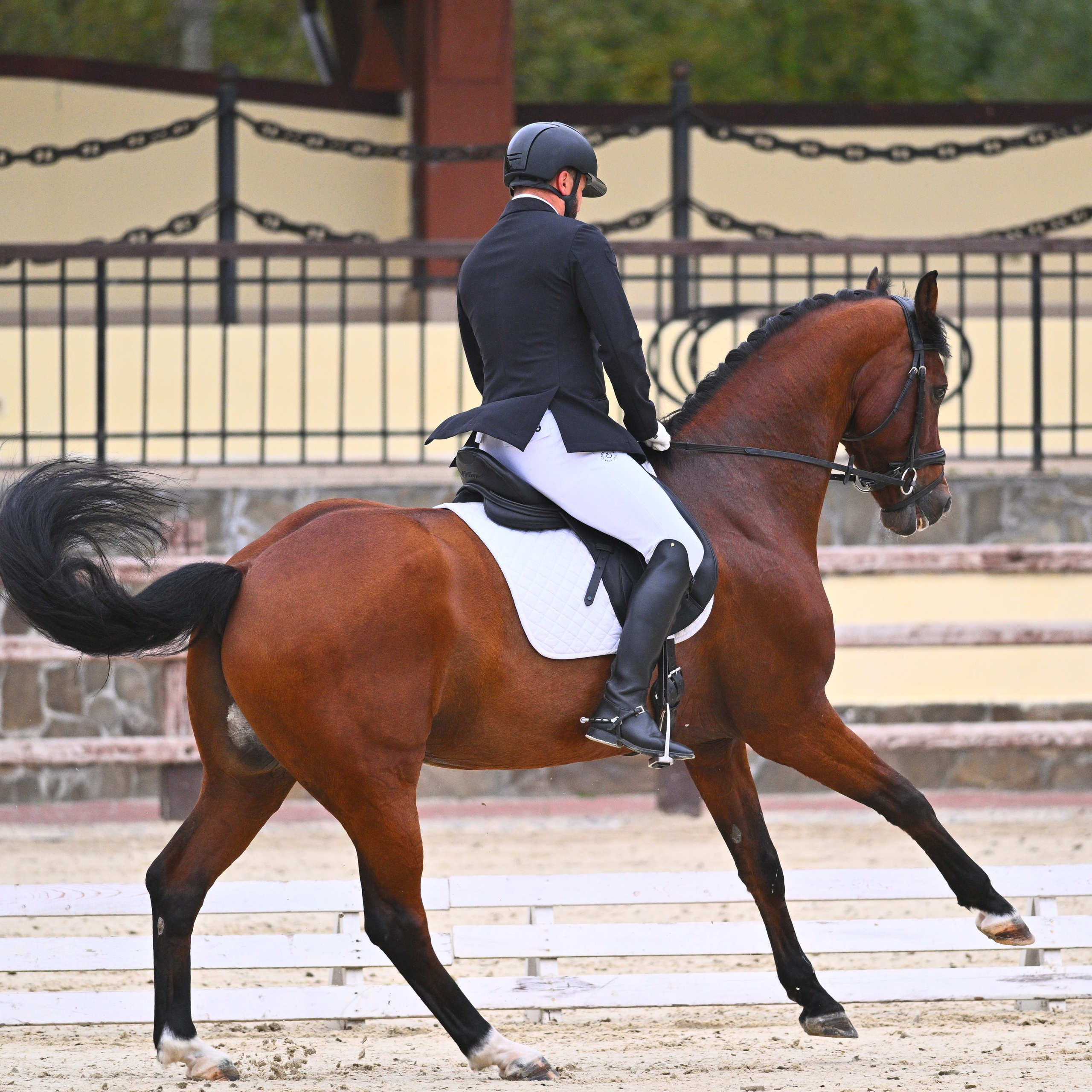 ТУРНИРНАЯ КОННАЯ ФОТОГРАФИЯ, Руднева Ольга и Евгений Адеев