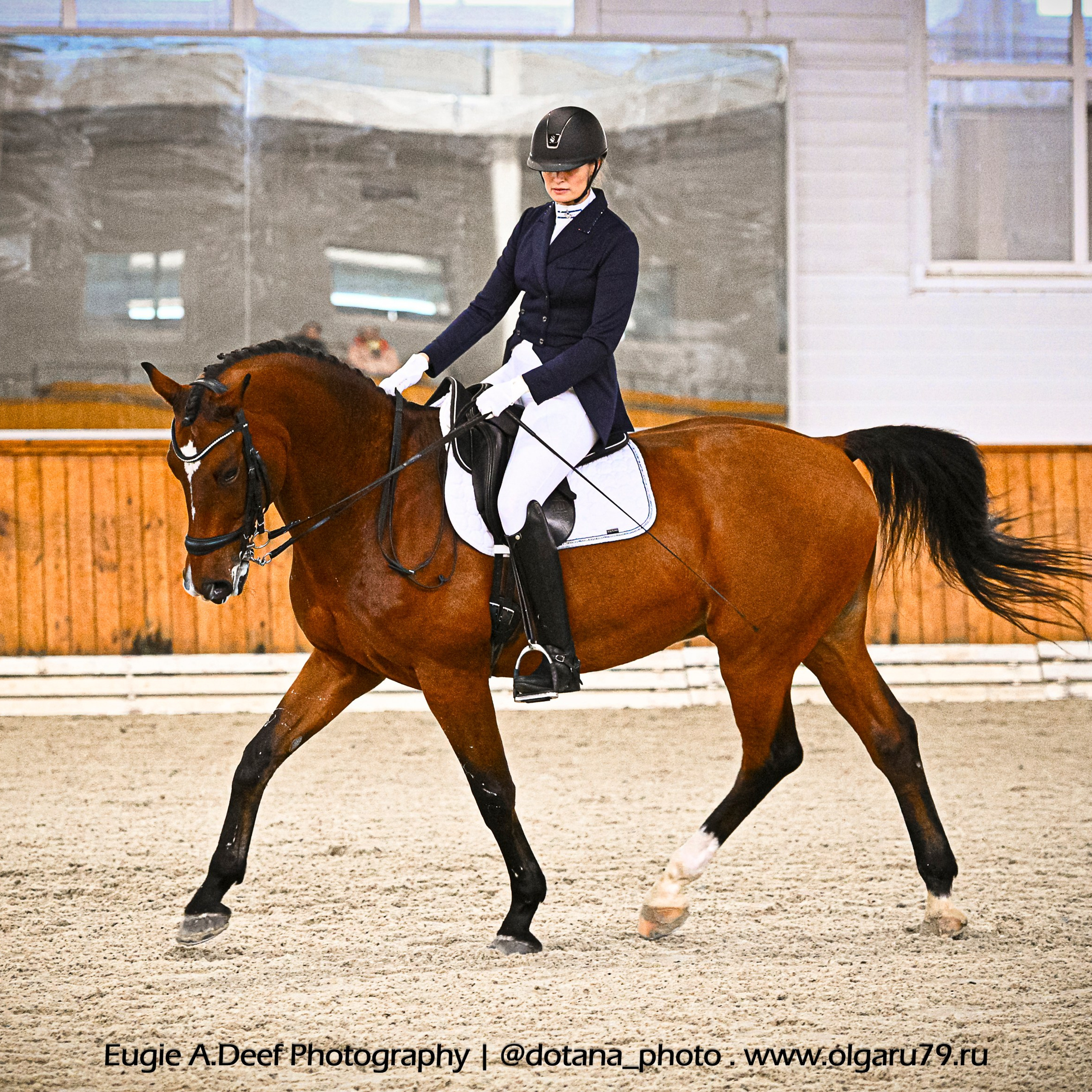 ТУРНИРНАЯ КОННАЯ ФОТОГРАФИЯ, Руднева Ольга и Евгений Адеев