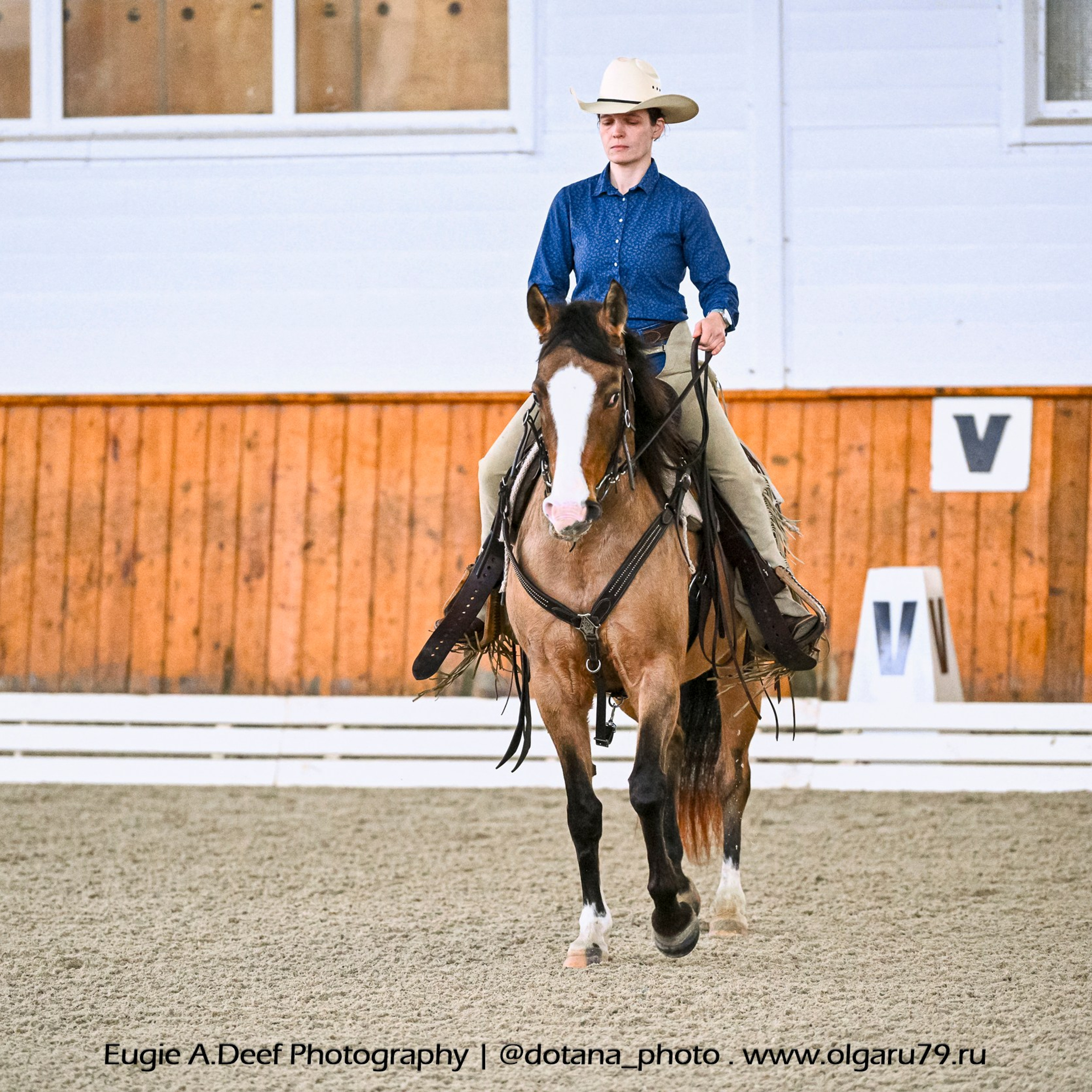 2026 март 14 КСК УРОЖАЙ (ВЫЕЗДКА). ТУРНИРНАЯ КОННАЯ ФОТОГРАФИЯ, Руднева Ольга и Евгений Адеев