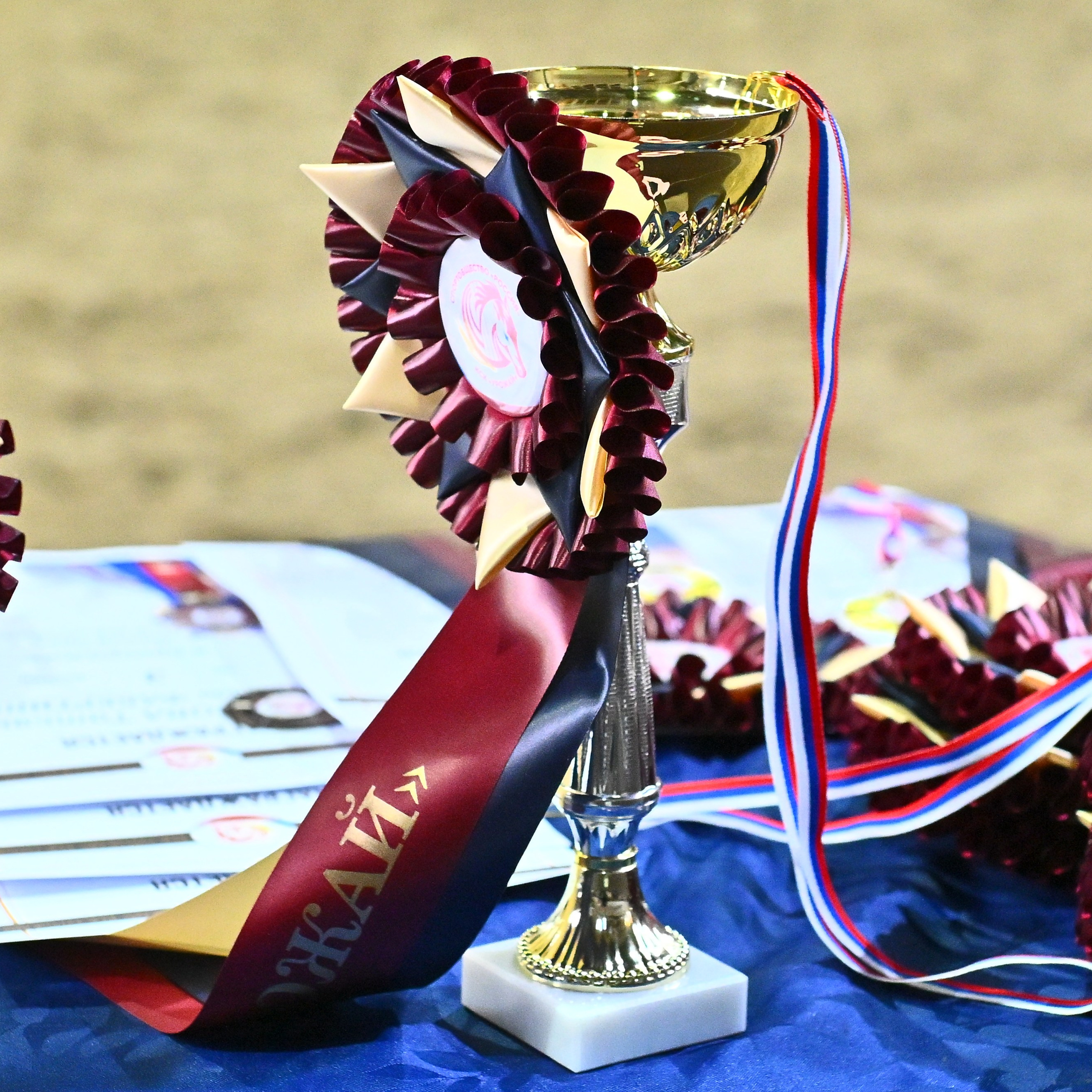 2026-04-19 КСК Дивный (выездка). ТУРНИРНАЯ КОННАЯ ФОТОГРАФИЯ, Руднева Ольга и Евгений Адеев