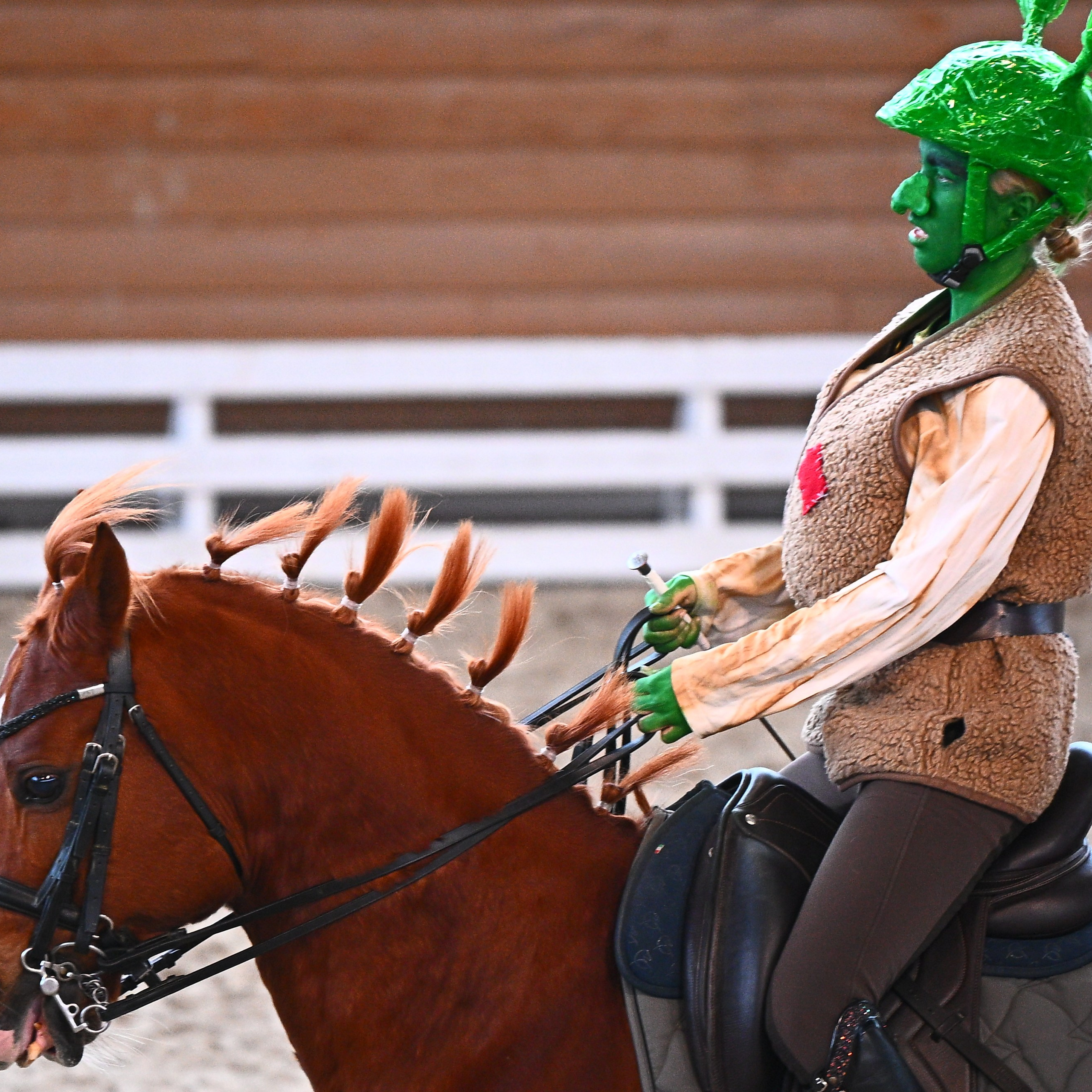 ТУРНИРНАЯ КОННАЯ ФОТОГРАФИЯ, Руднева Ольга и Евгений Адеев