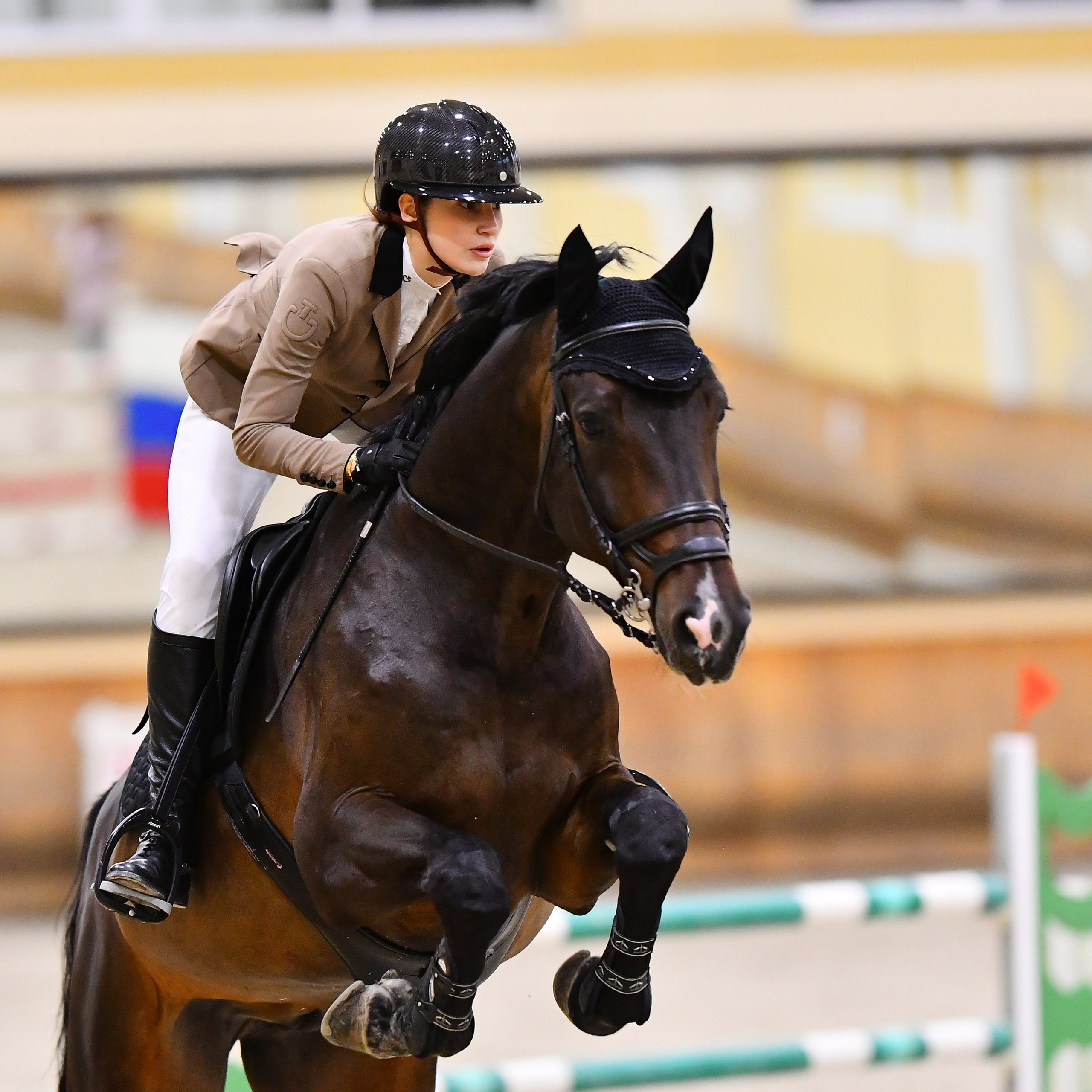 2025.02.01 — ЗИМНИЙ КУБОК КСК ДИВНЫЙ ПО КОНКУРУ