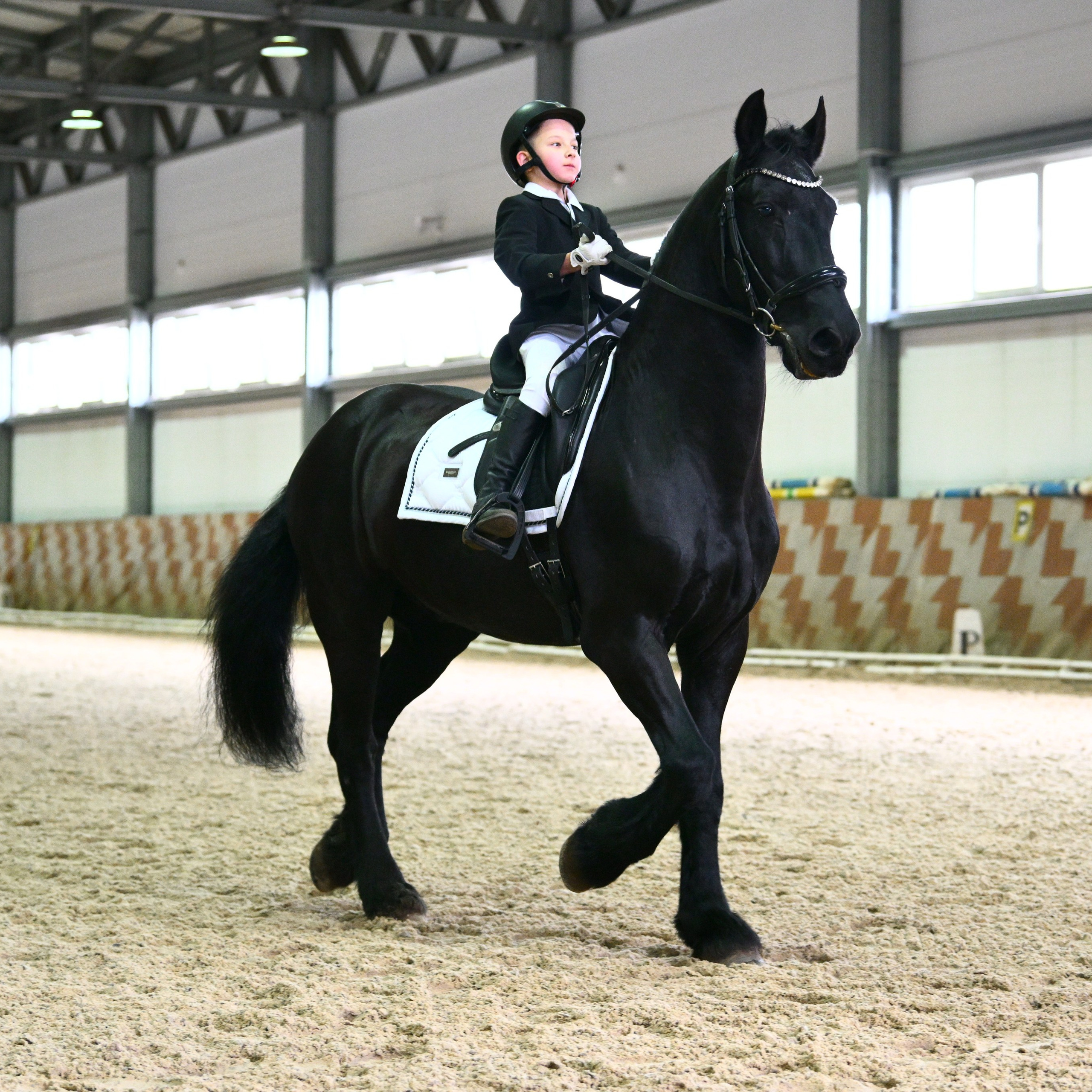 ТУРНИРНАЯ КОННАЯ ФОТОГРАФИЯ, Руднева Ольга и Евгений Адеев