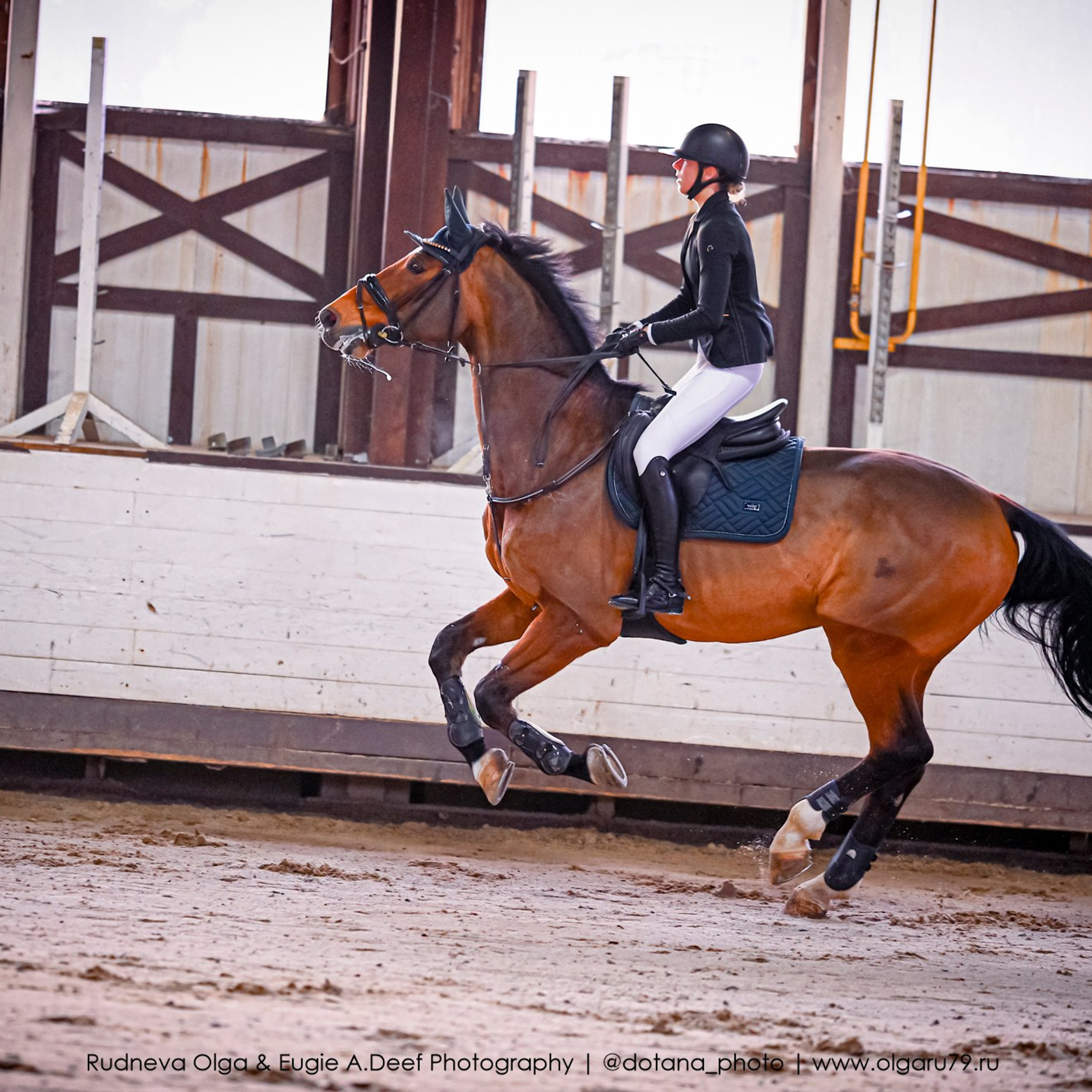 2025.12.06 — КСК Белая Дача — конкур. ТУРНИРНАЯ КОННАЯ ФОТОГРАФИЯ, Руднева Ольга и Евгений Адеев