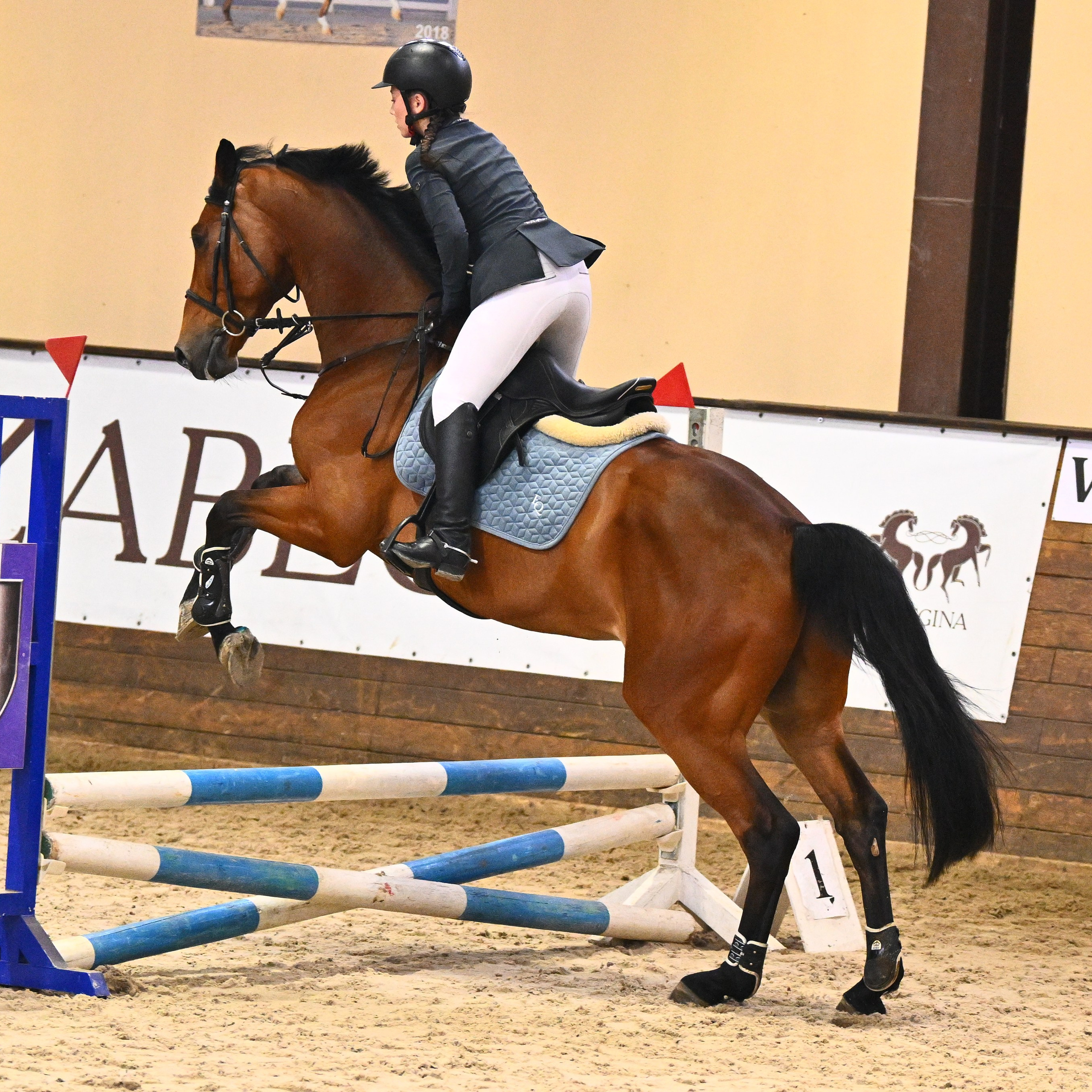 2026-04-19 КСК Дивный (выездка). ТУРНИРНАЯ КОННАЯ ФОТОГРАФИЯ, Руднева Ольга и Евгений Адеев