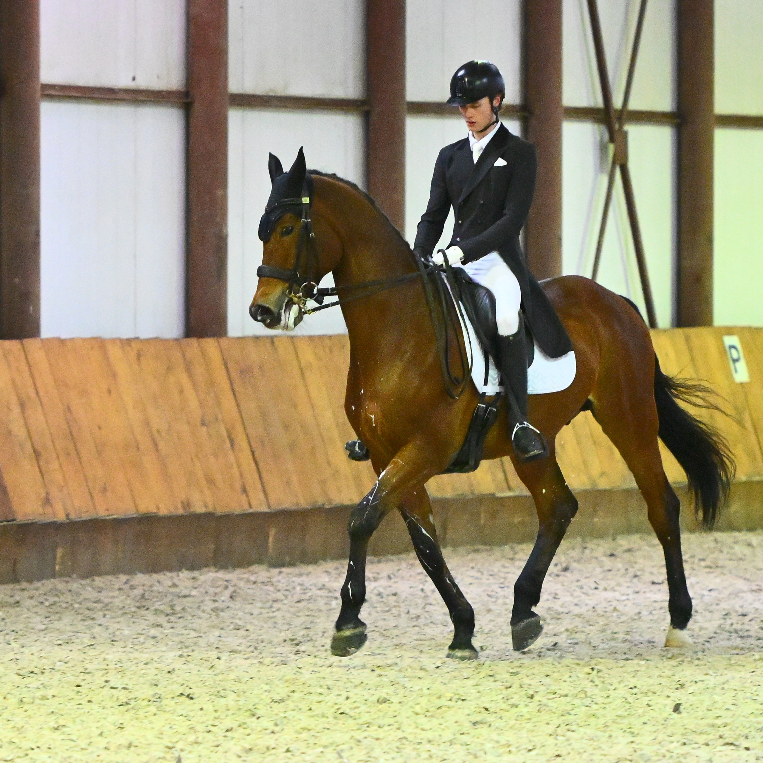 2025.12.14-КСК Престиж — выездка. ТУРНИРНАЯ КОННАЯ ФОТОГРАФИЯ, Руднева Ольга и Евгений Адеев
