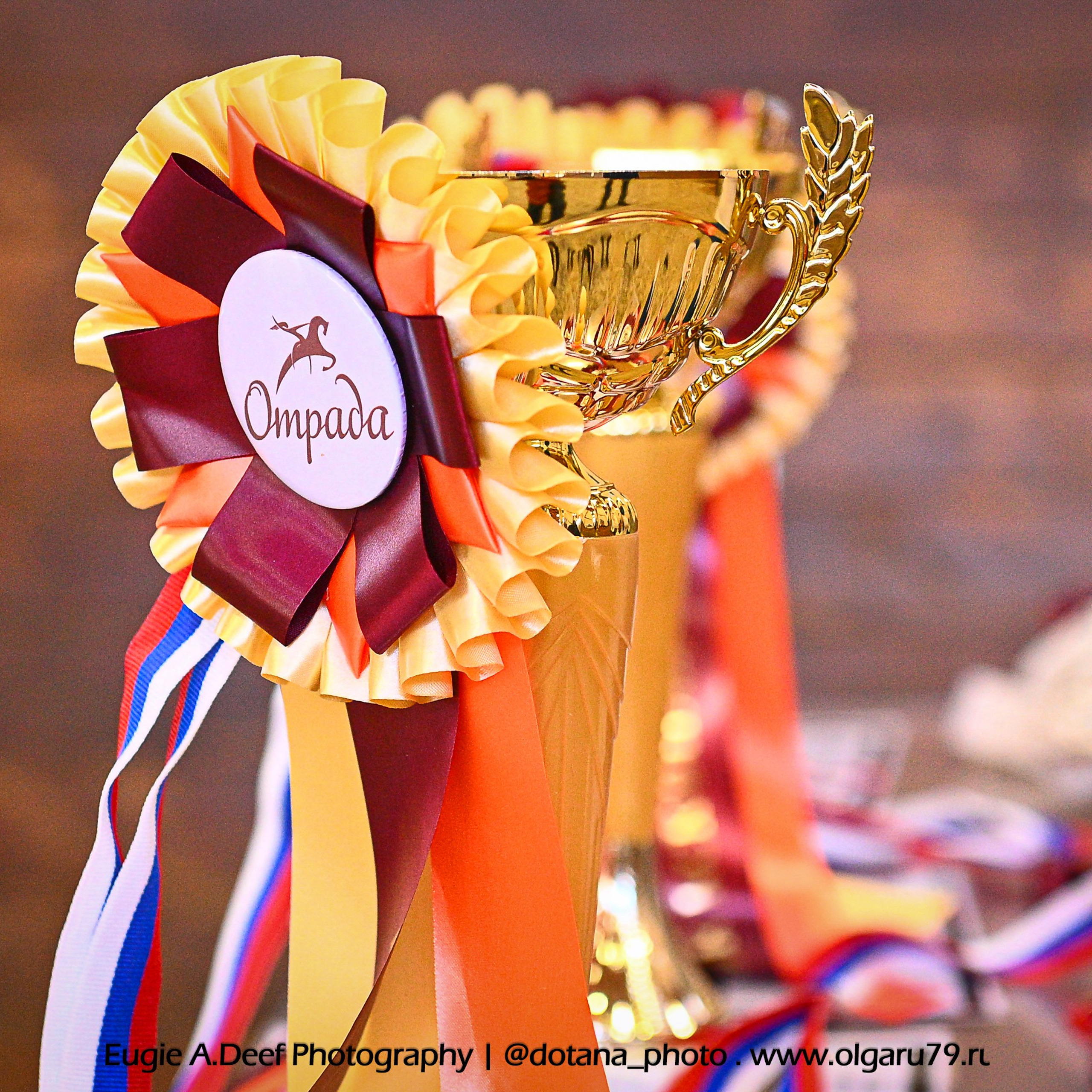 2026-02-06-08 КСК ВИВАТ, РОССИЯ! (ВЫЕЗДКА). ТУРНИРНАЯ КОННАЯ ФОТОГРАФИЯ, Руднева Ольга и Евгений Адеев