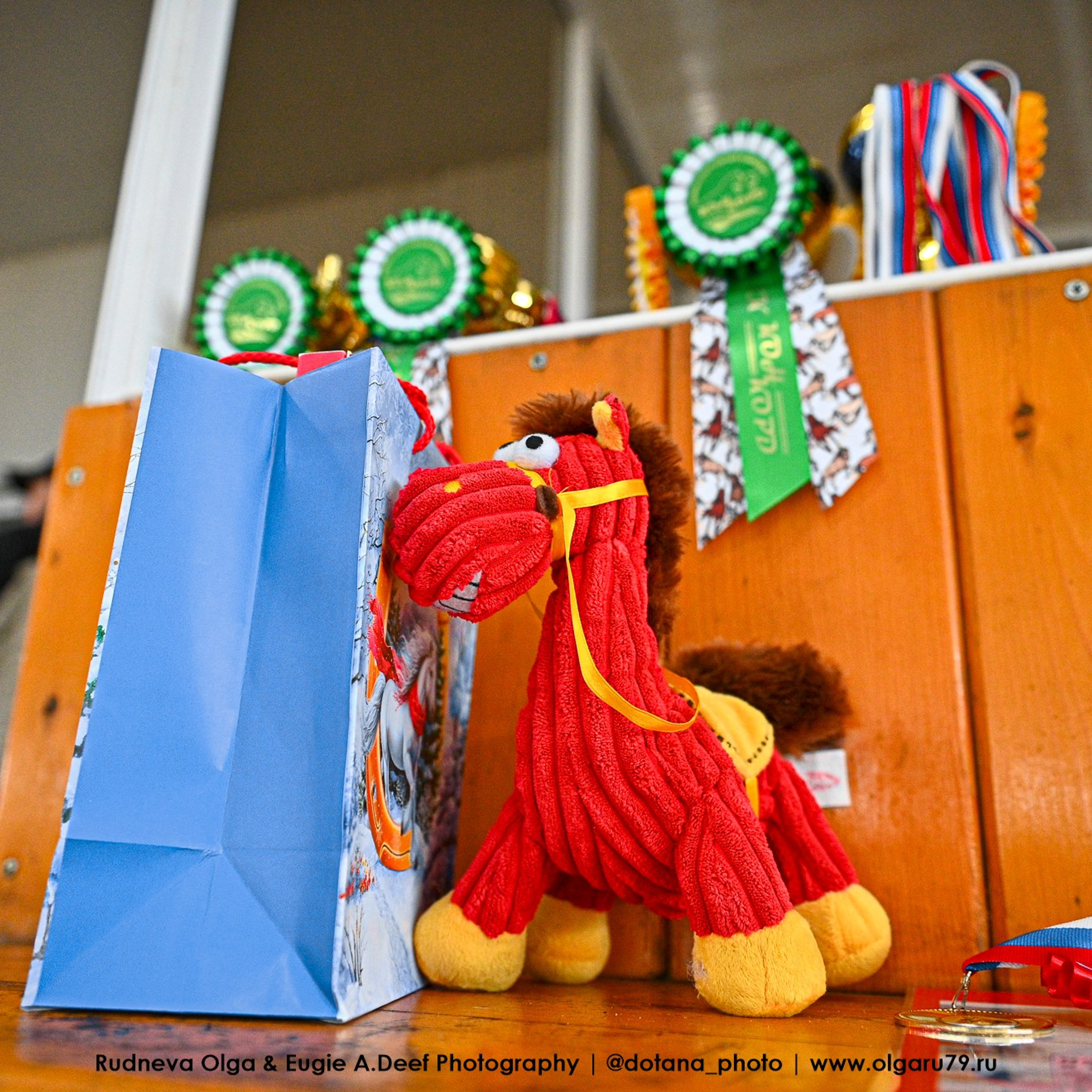 2026 март 14 КСК УРОЖАЙ (ВЫЕЗДКА). ТУРНИРНАЯ КОННАЯ ФОТОГРАФИЯ, Руднева Ольга и Евгений Адеев