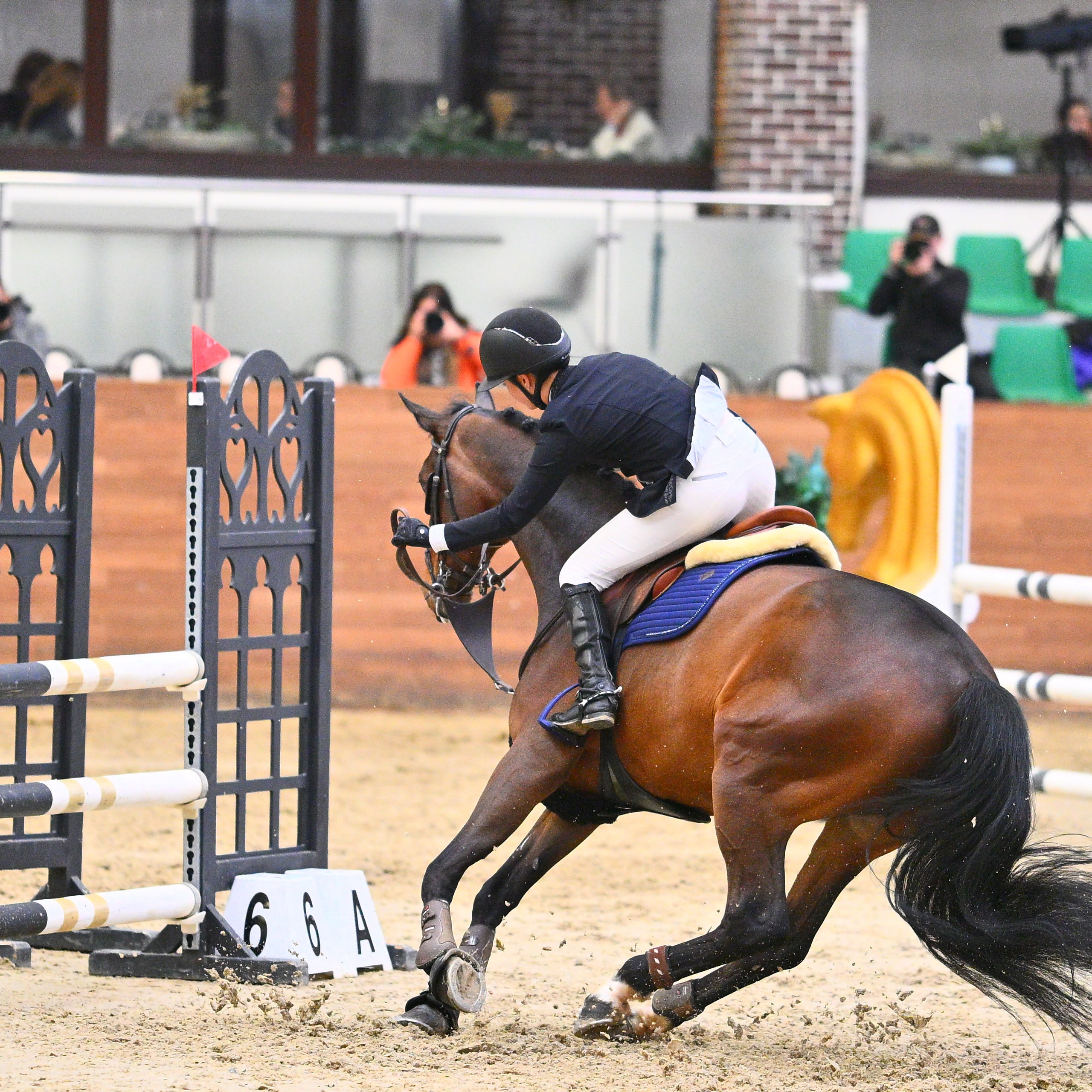 2025.12.13 — КСК Максима — конкур. ТУРНИРНАЯ КОННАЯ ФОТОГРАФИЯ, Руднева Ольга и Евгений Адеев