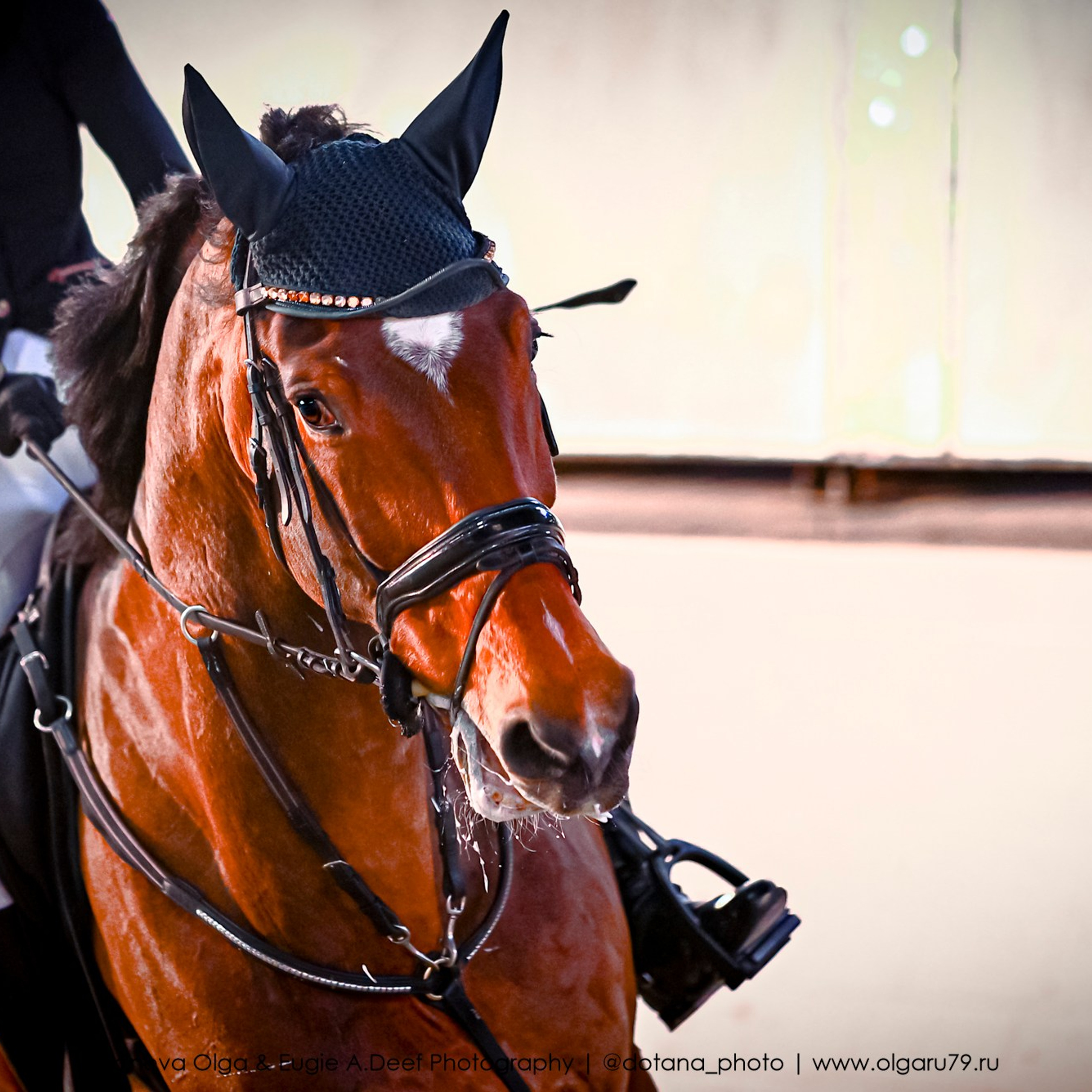 2025.12.06 — КСК Белая Дача — конкур. ТУРНИРНАЯ КОННАЯ ФОТОГРАФИЯ, Руднева Ольга и Евгений Адеев