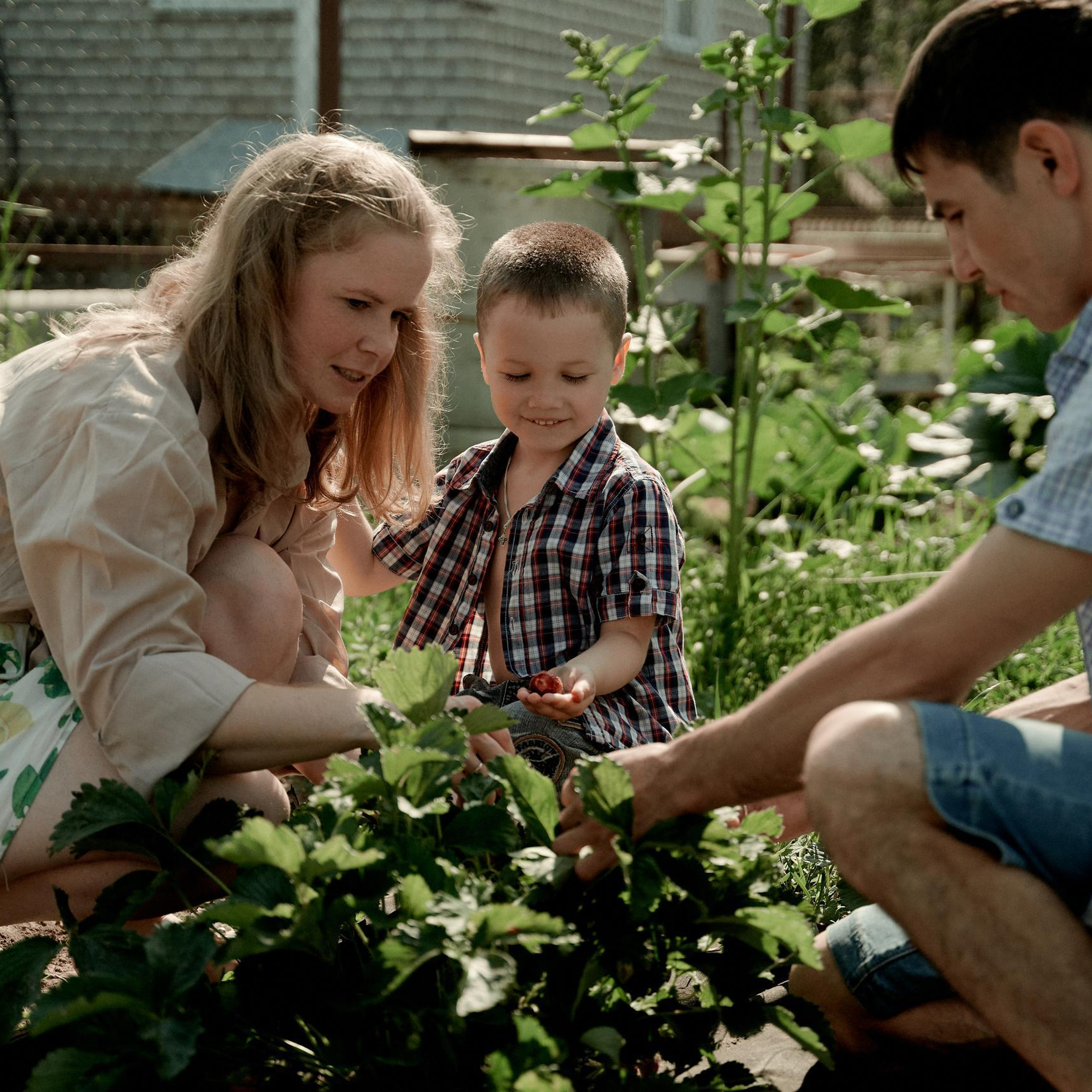 Отзывы. Фото и видеосъемка. Легко и круто. Алехины Анна и Сергей
