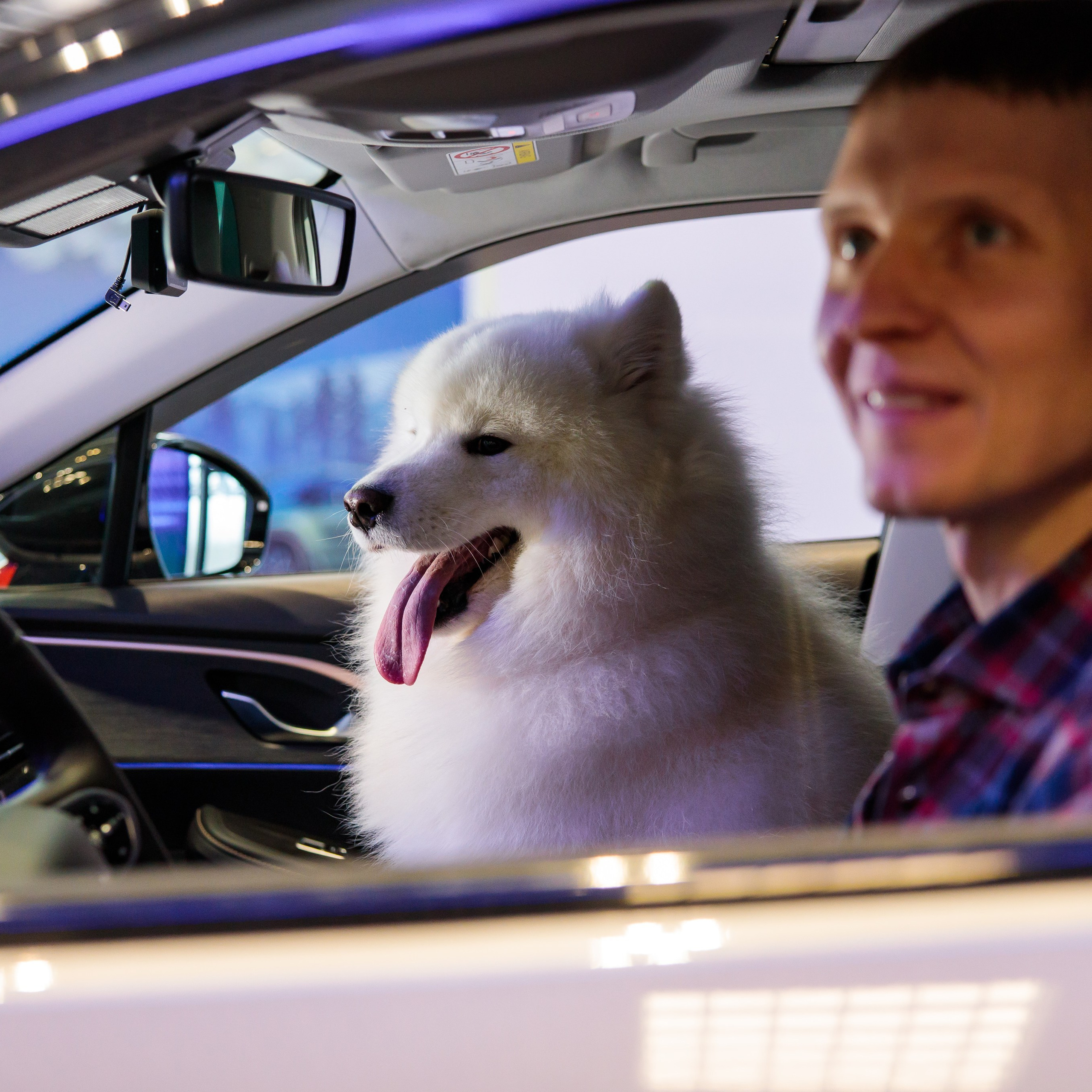 Отзывы. Фотограф в Новокузнецке Бахтияр Омуров