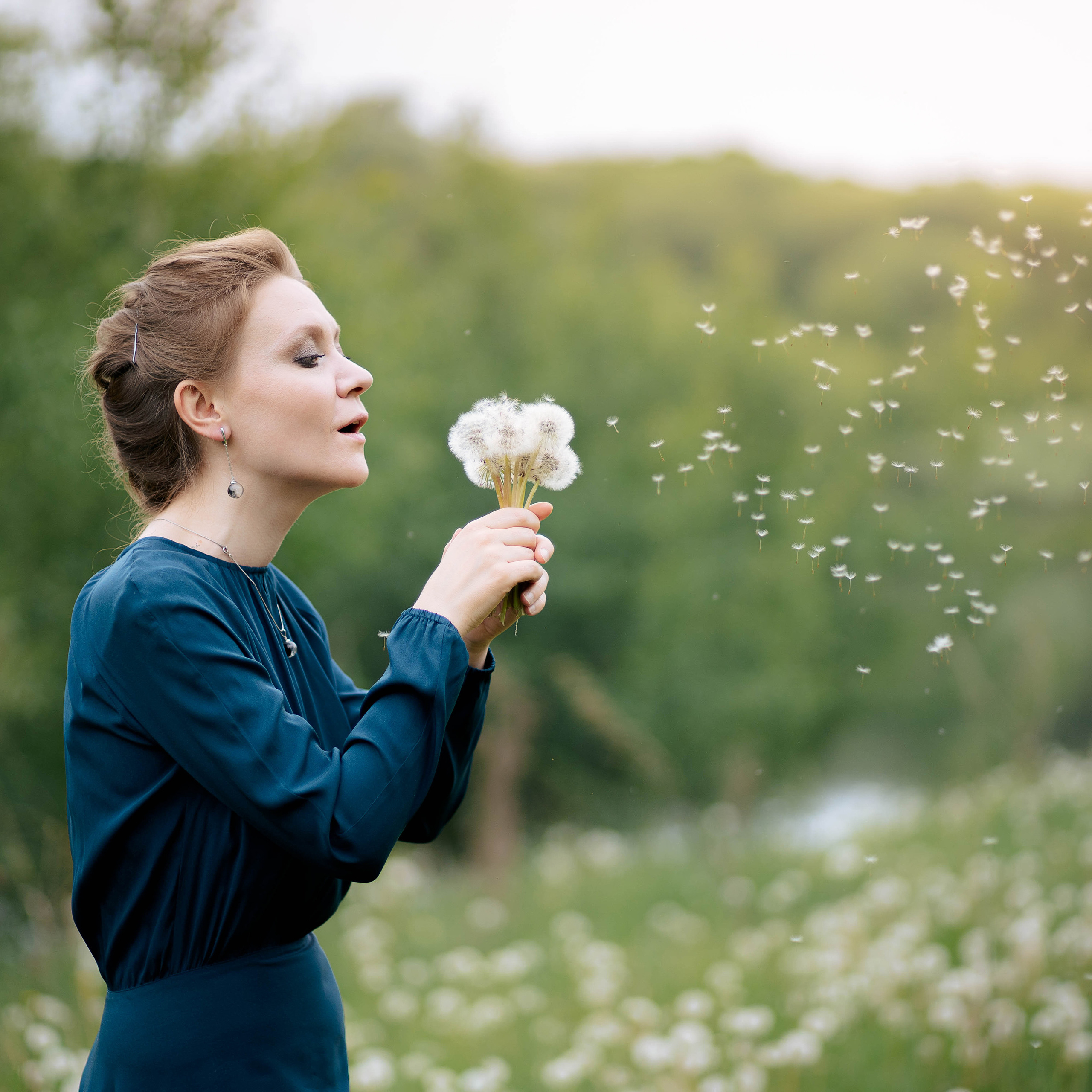 Одуванчики