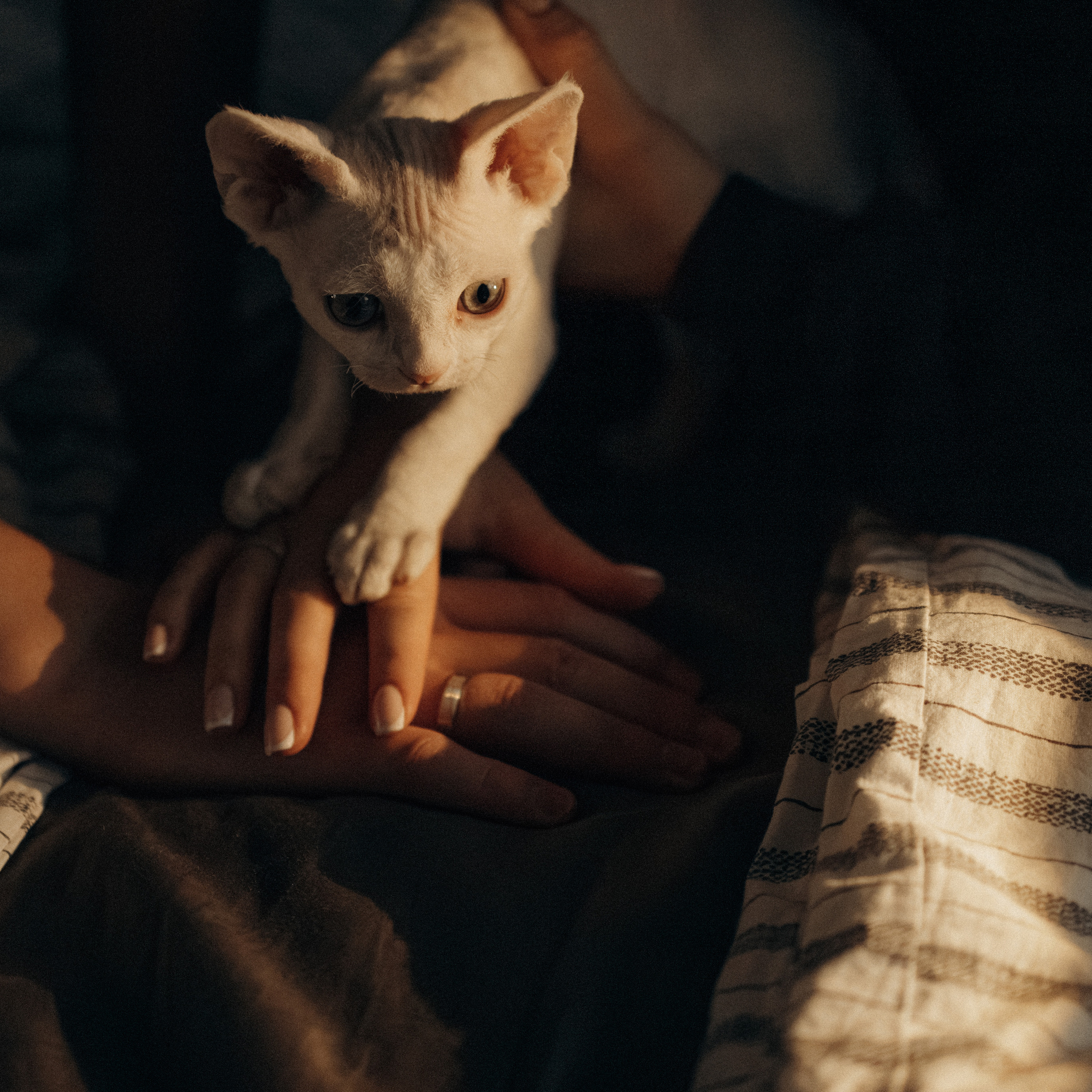 Этери, Саша и Эвия