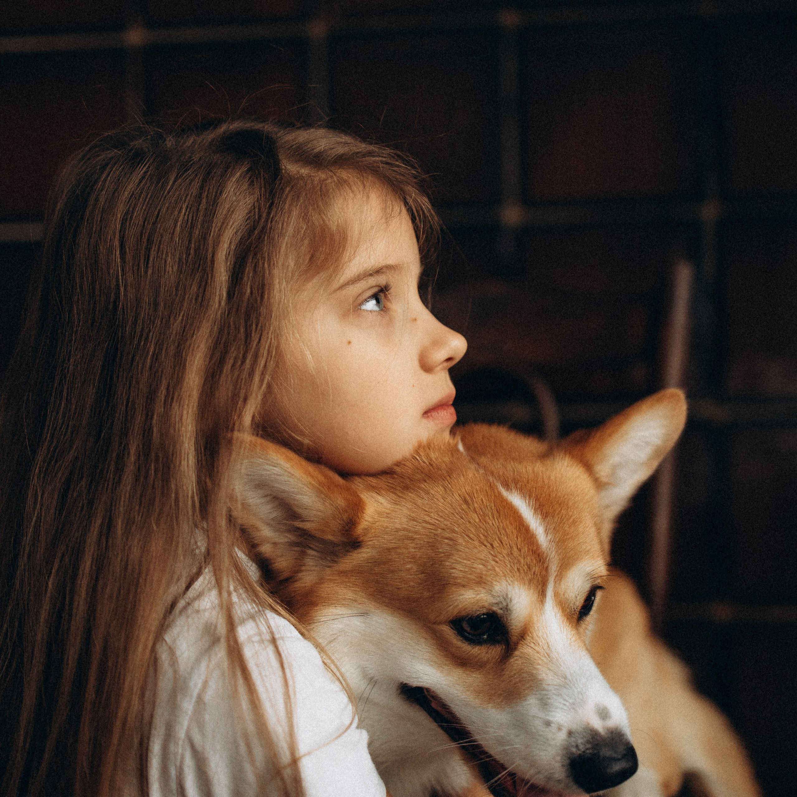 Зевс и его семья