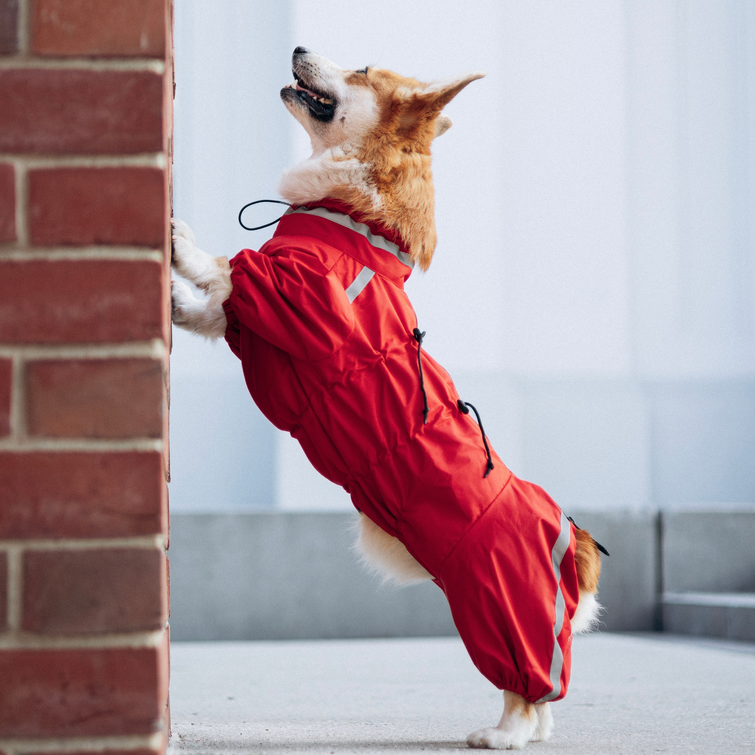 Комбинезоны «Коржик»