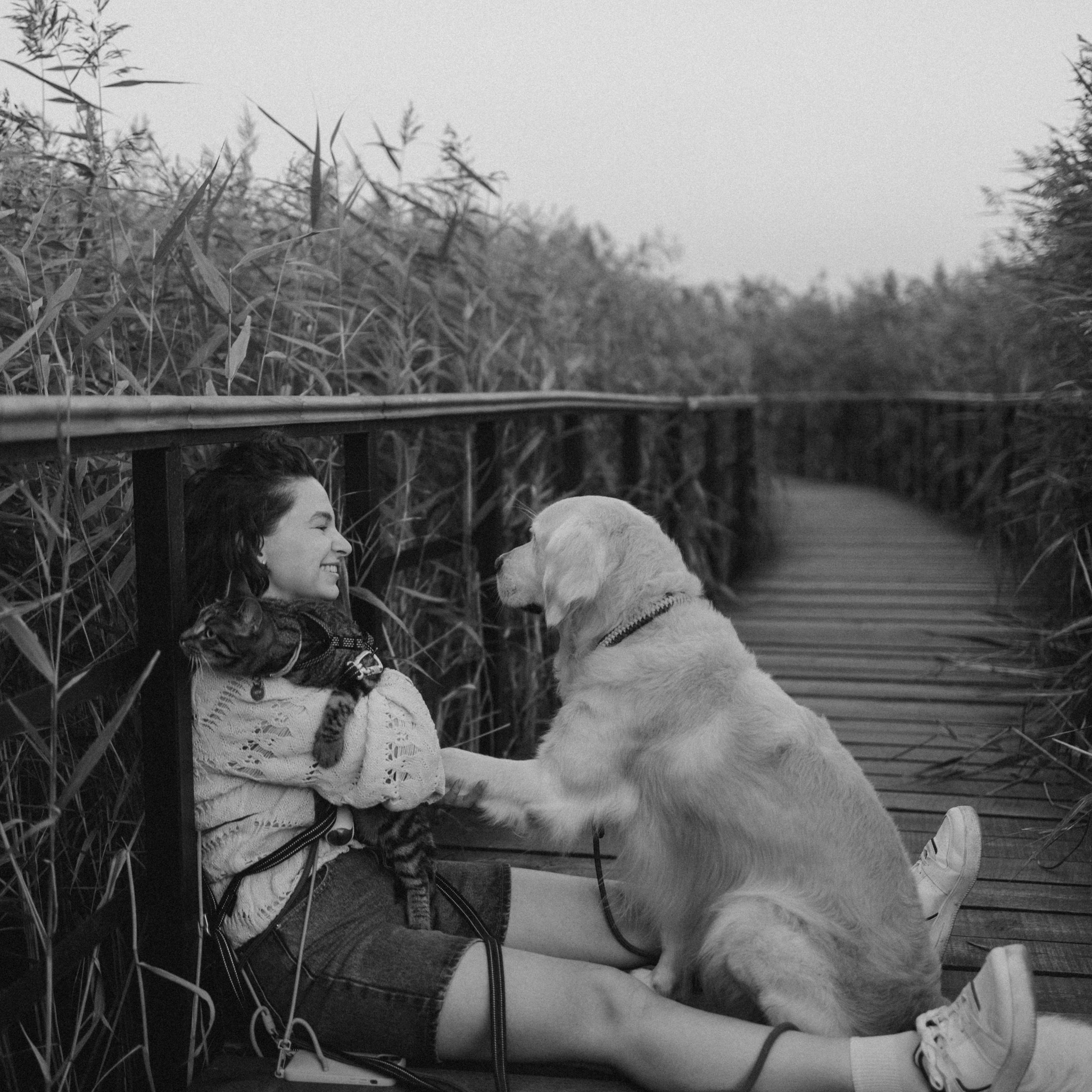 Настя и ее хвостики