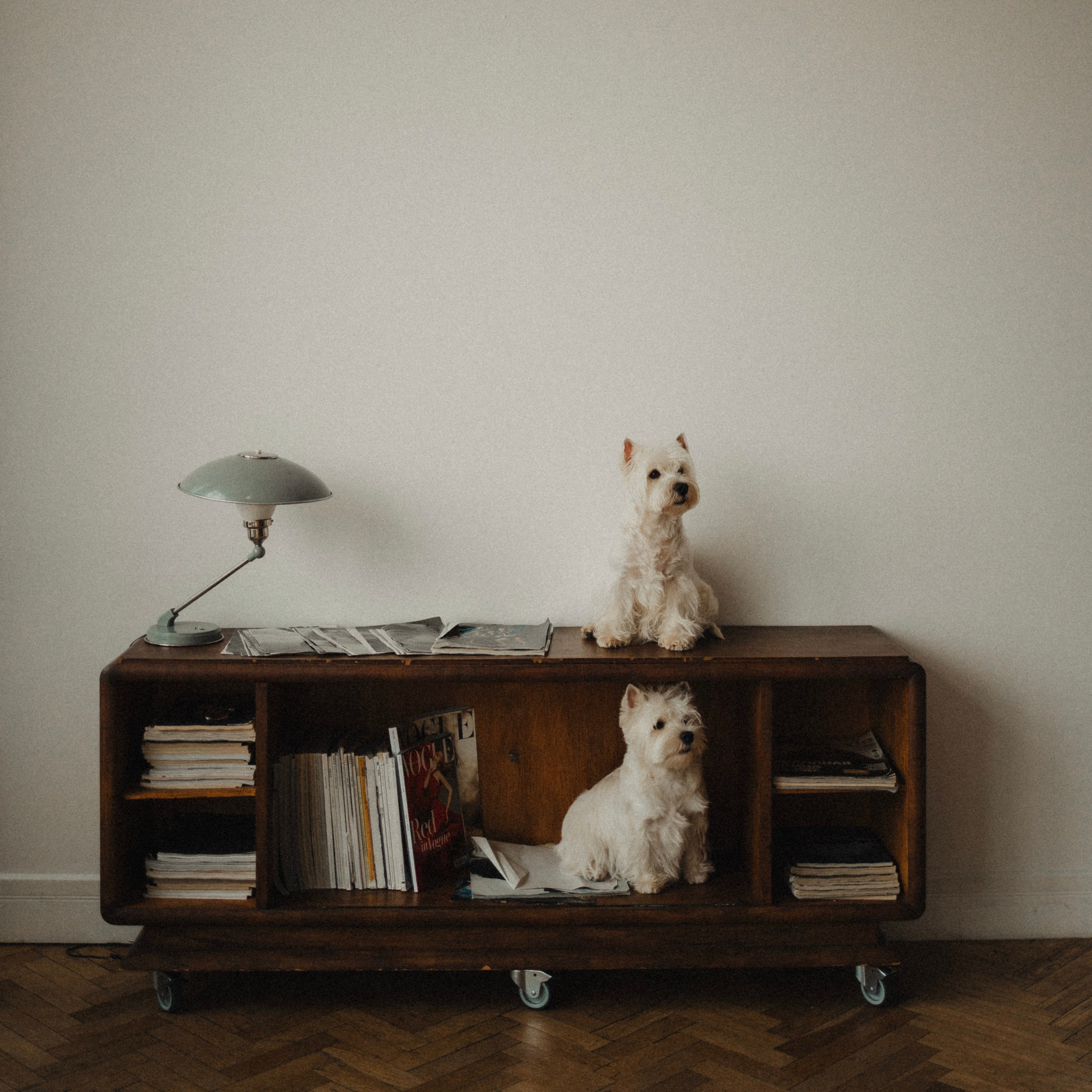 Вероника, Мята и Малина