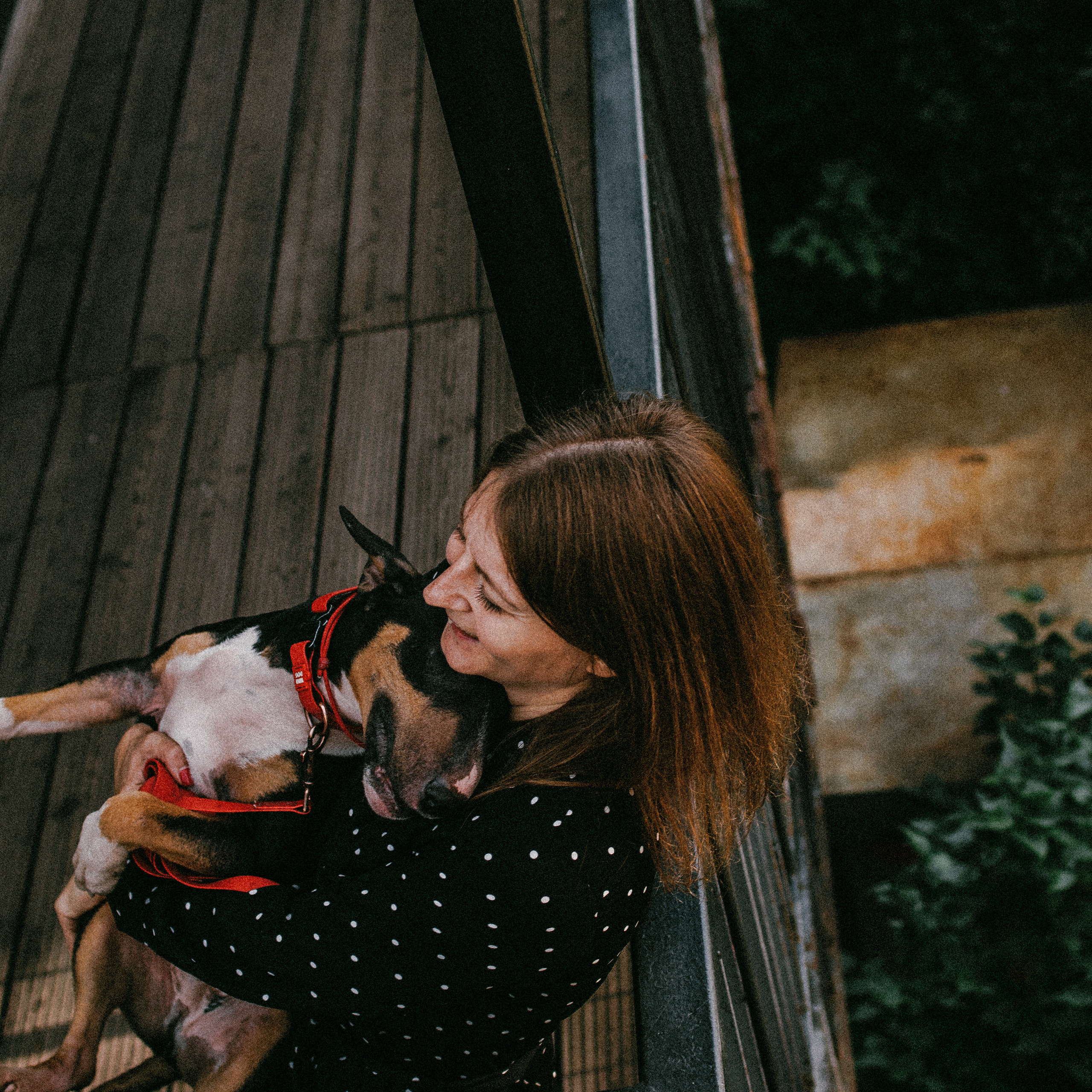 Отзывы. Фотораф — анималист Мария Шистка