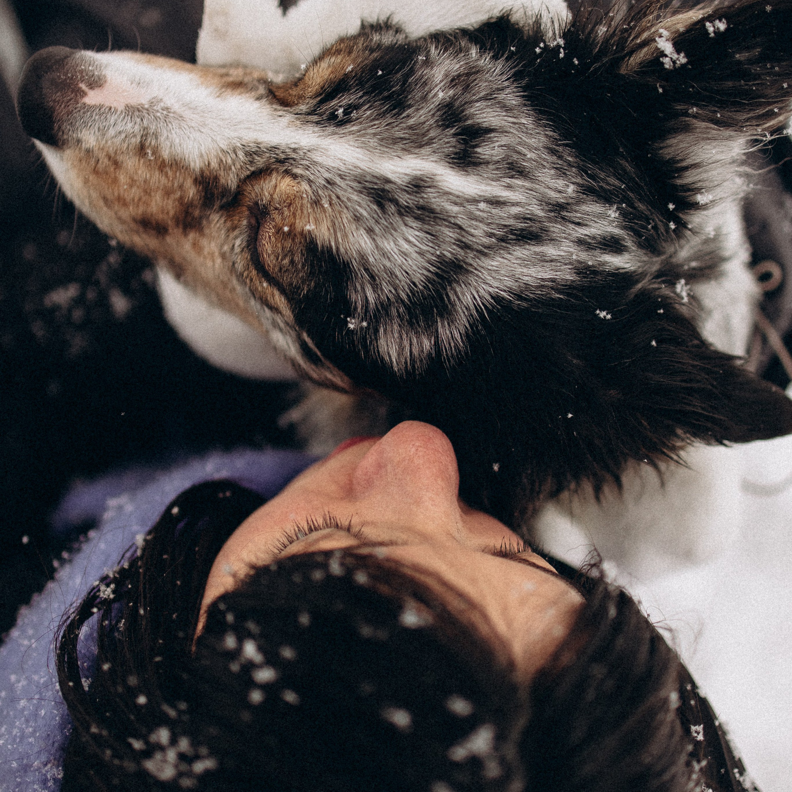 Отзывы. Фотораф — анималист Мария Шистка