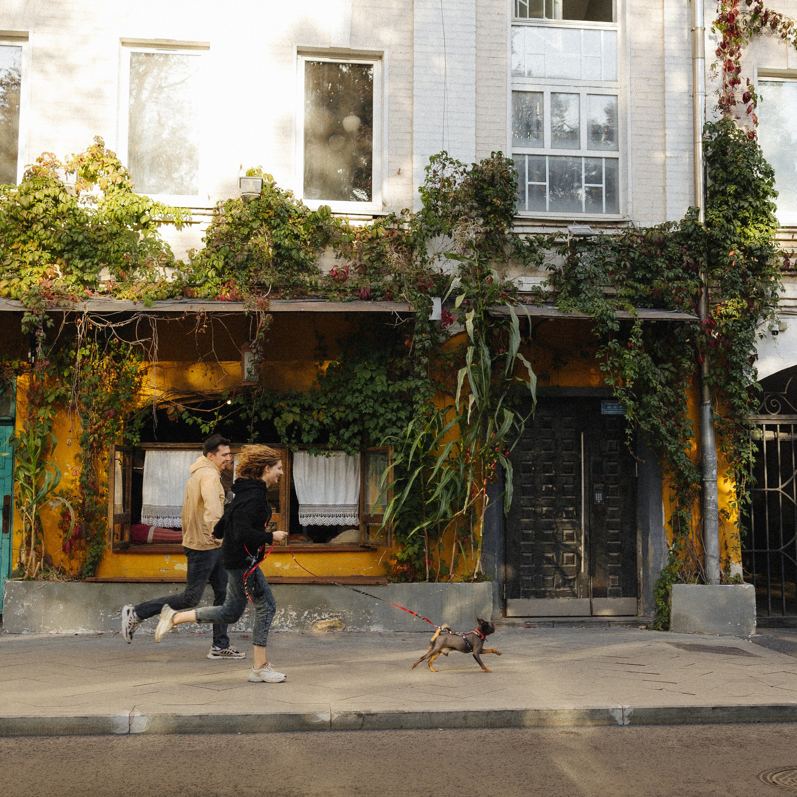 Грогу и его семья