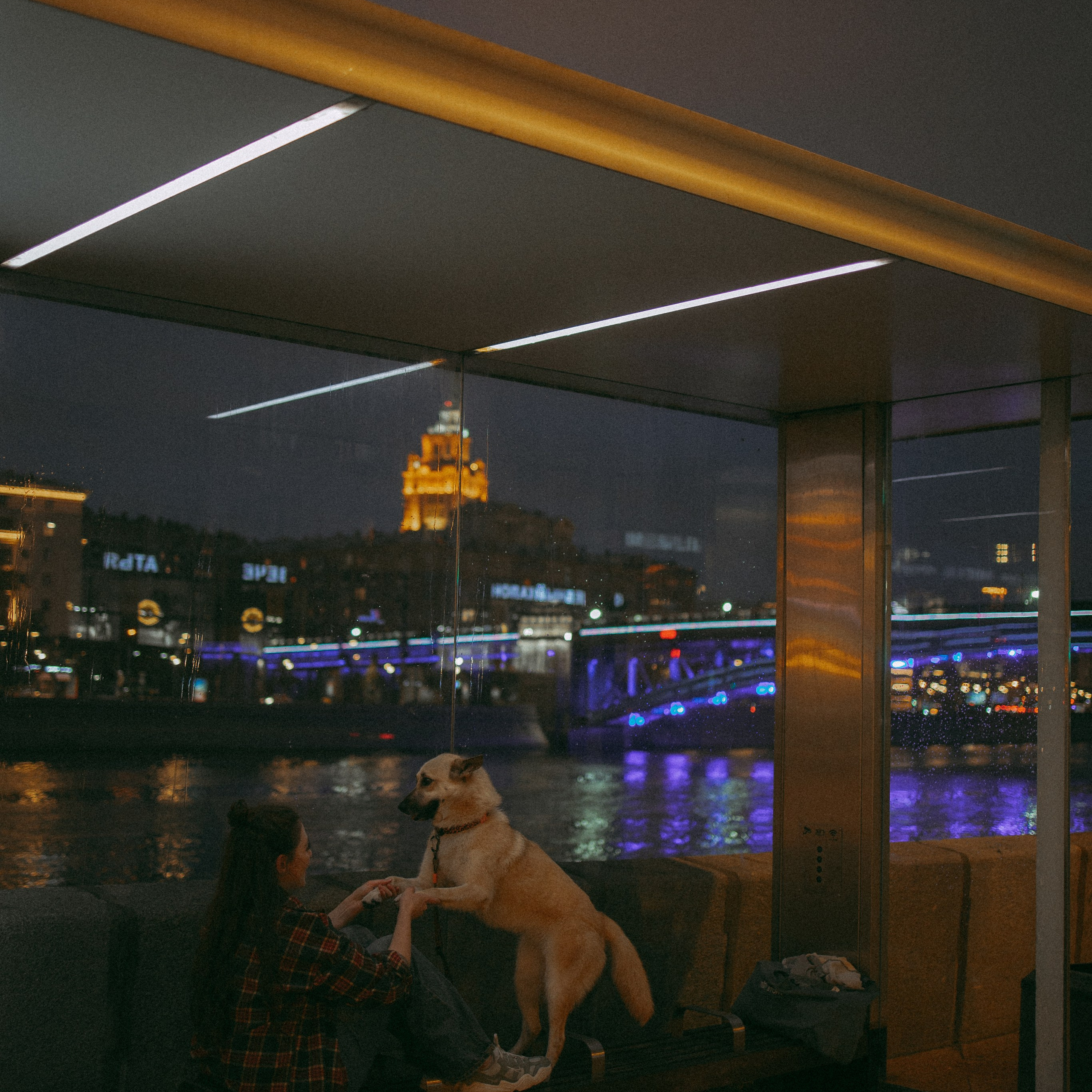 Отзывы. Фотораф — анималист Мария Шистка