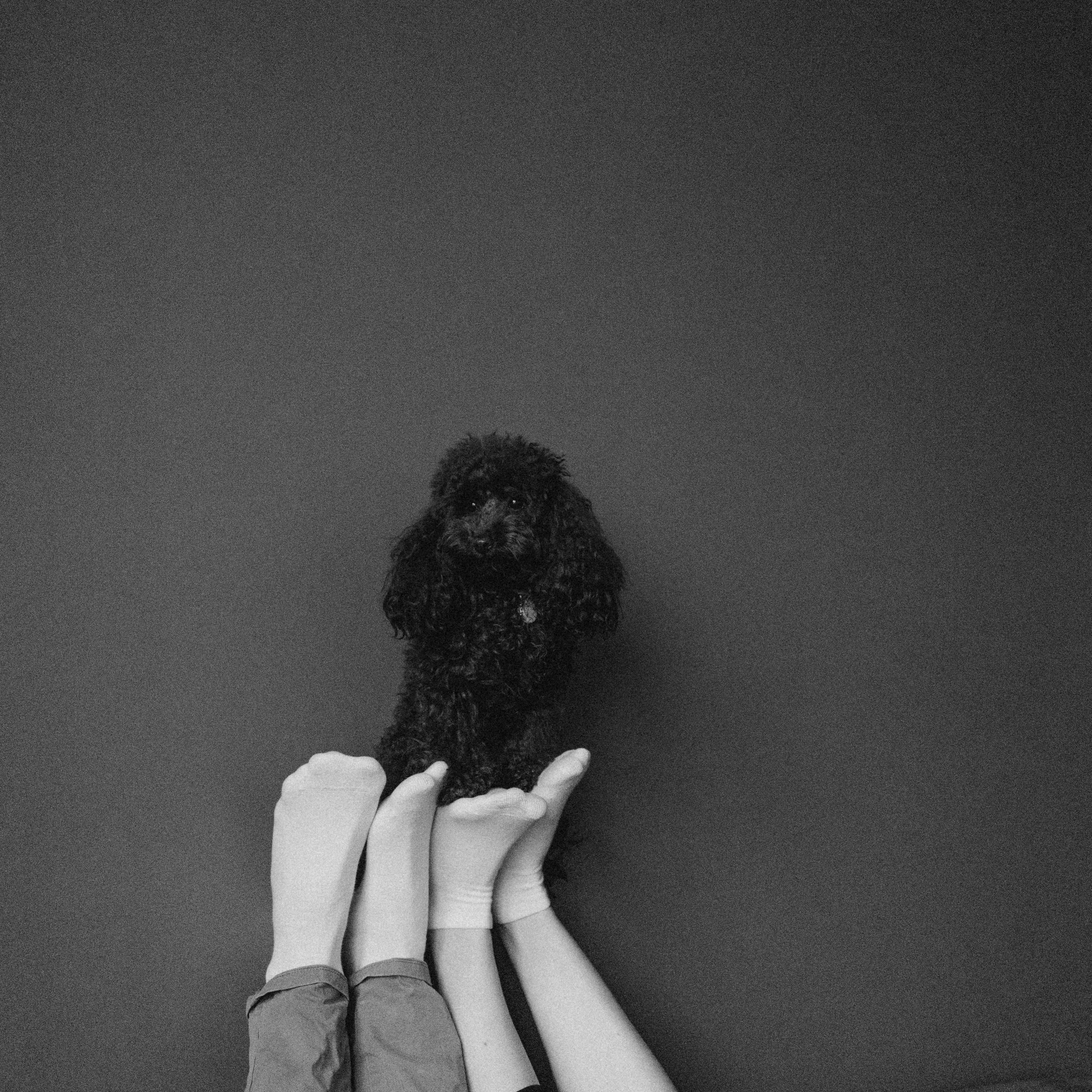 Отзывы. Фотораф — анималист Мария Шистка