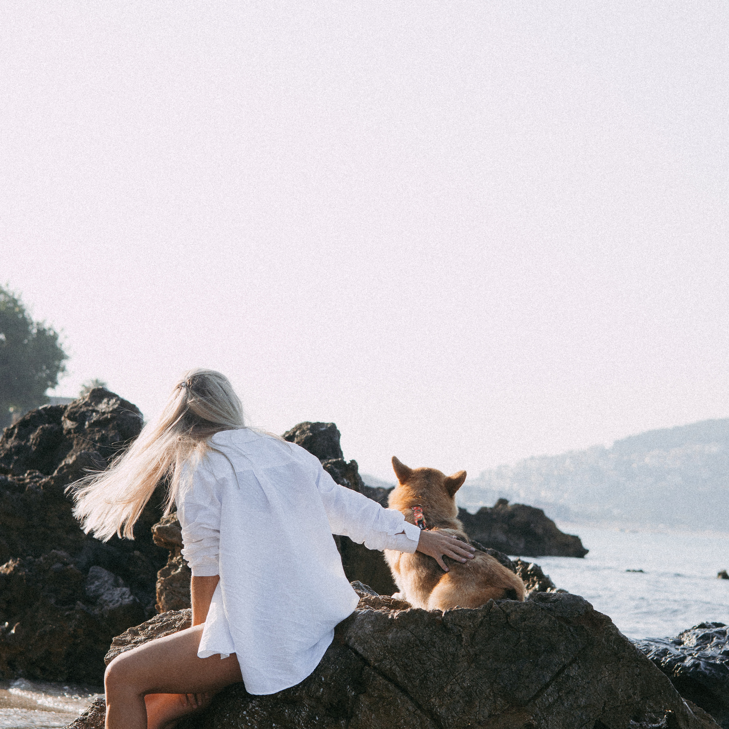 Отзывы. Фотораф — анималист Мария Шистка