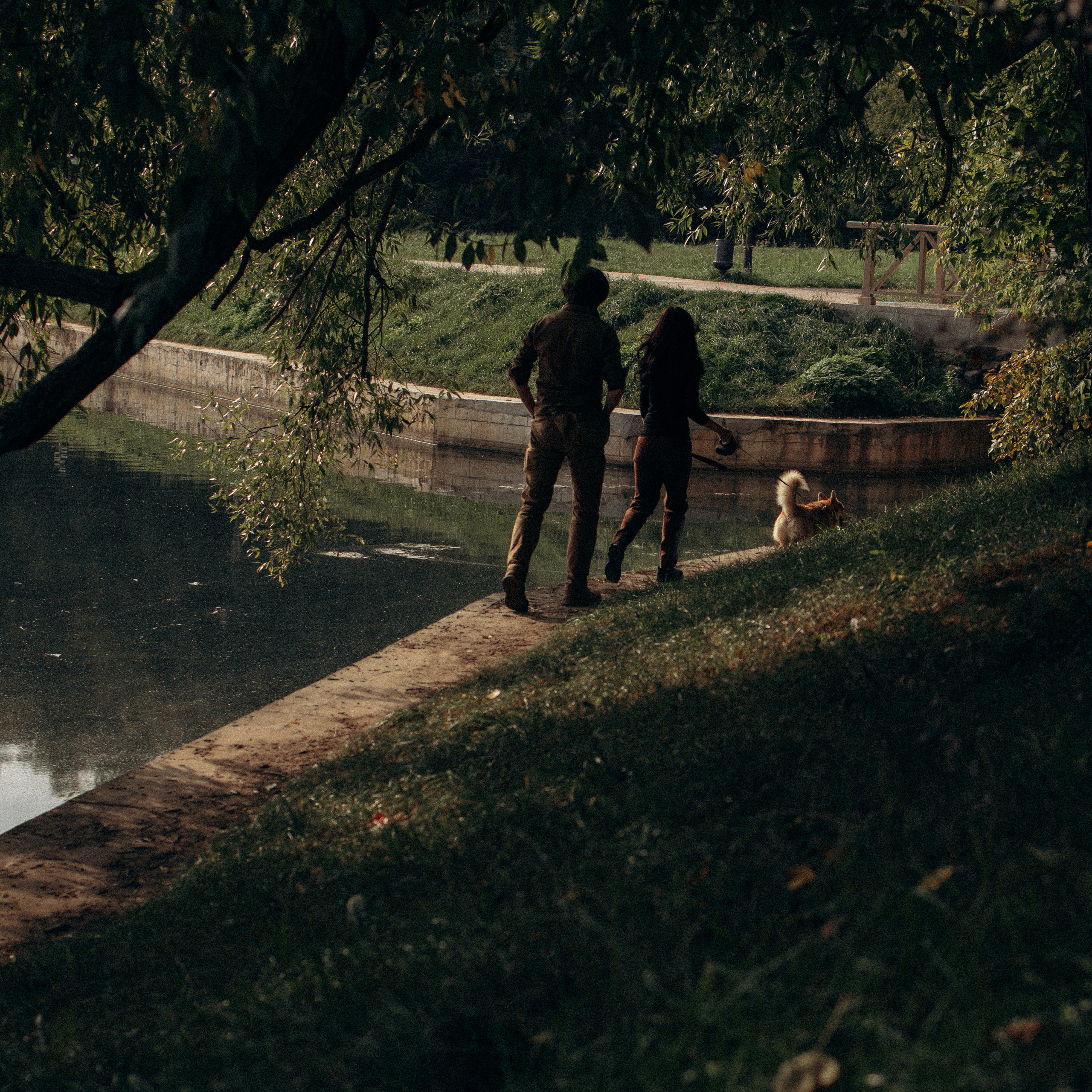 Отзывы. Фотораф — анималист Мария Шистка